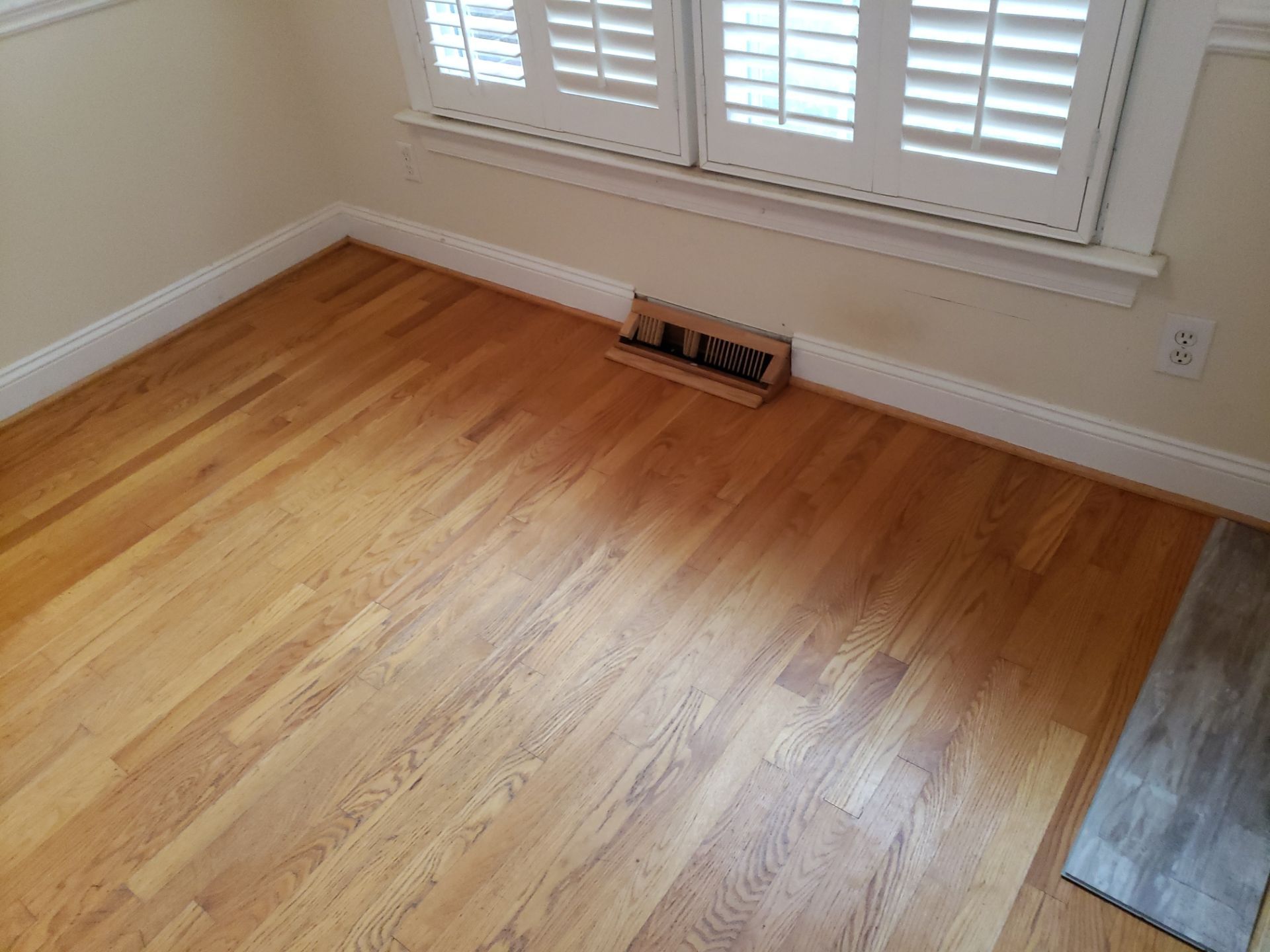 Front Room Transformed into a Waterproof Pet Room by A Step Above Handy LLC 
