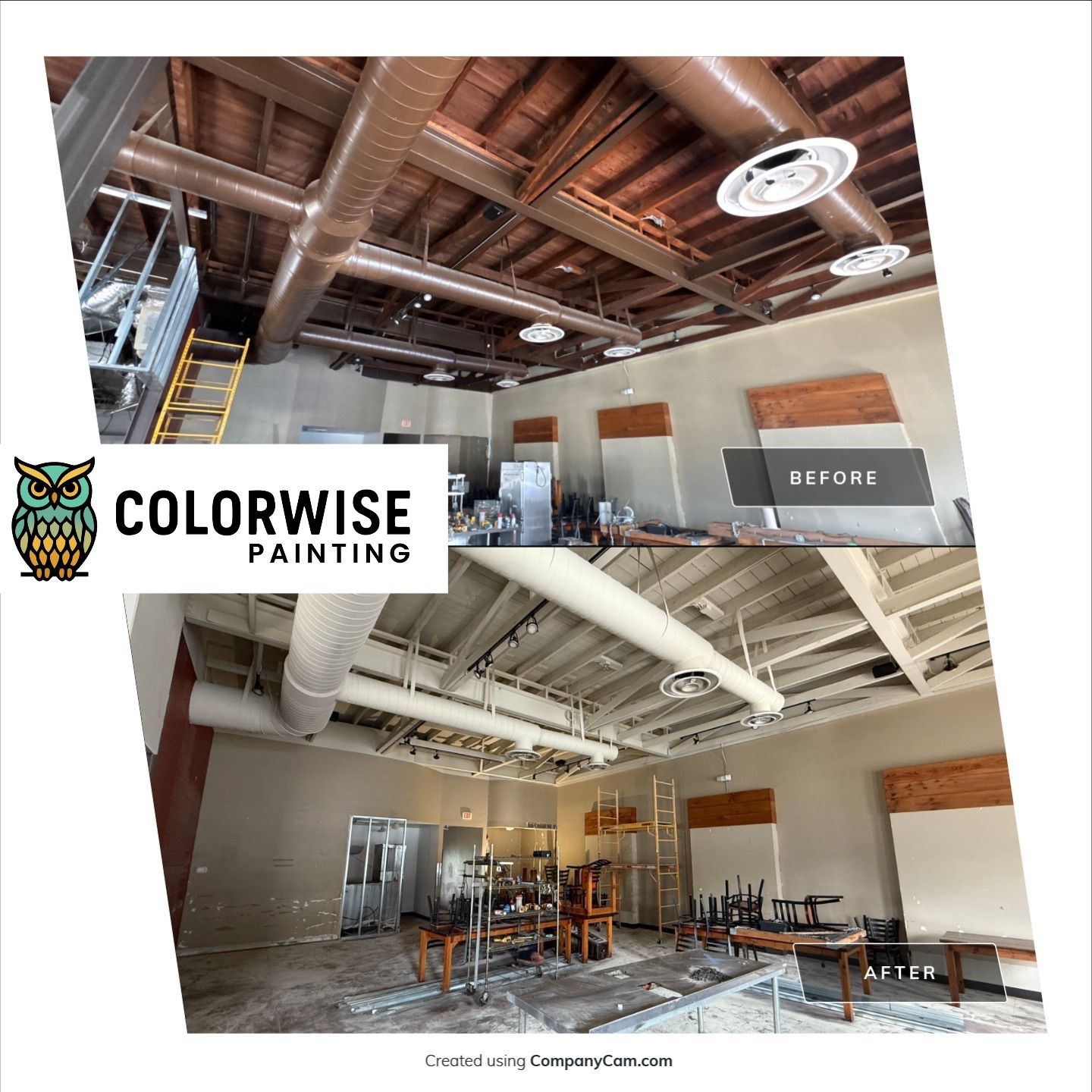 Calico Cactus Ceiling Painting by Colorwise Painting