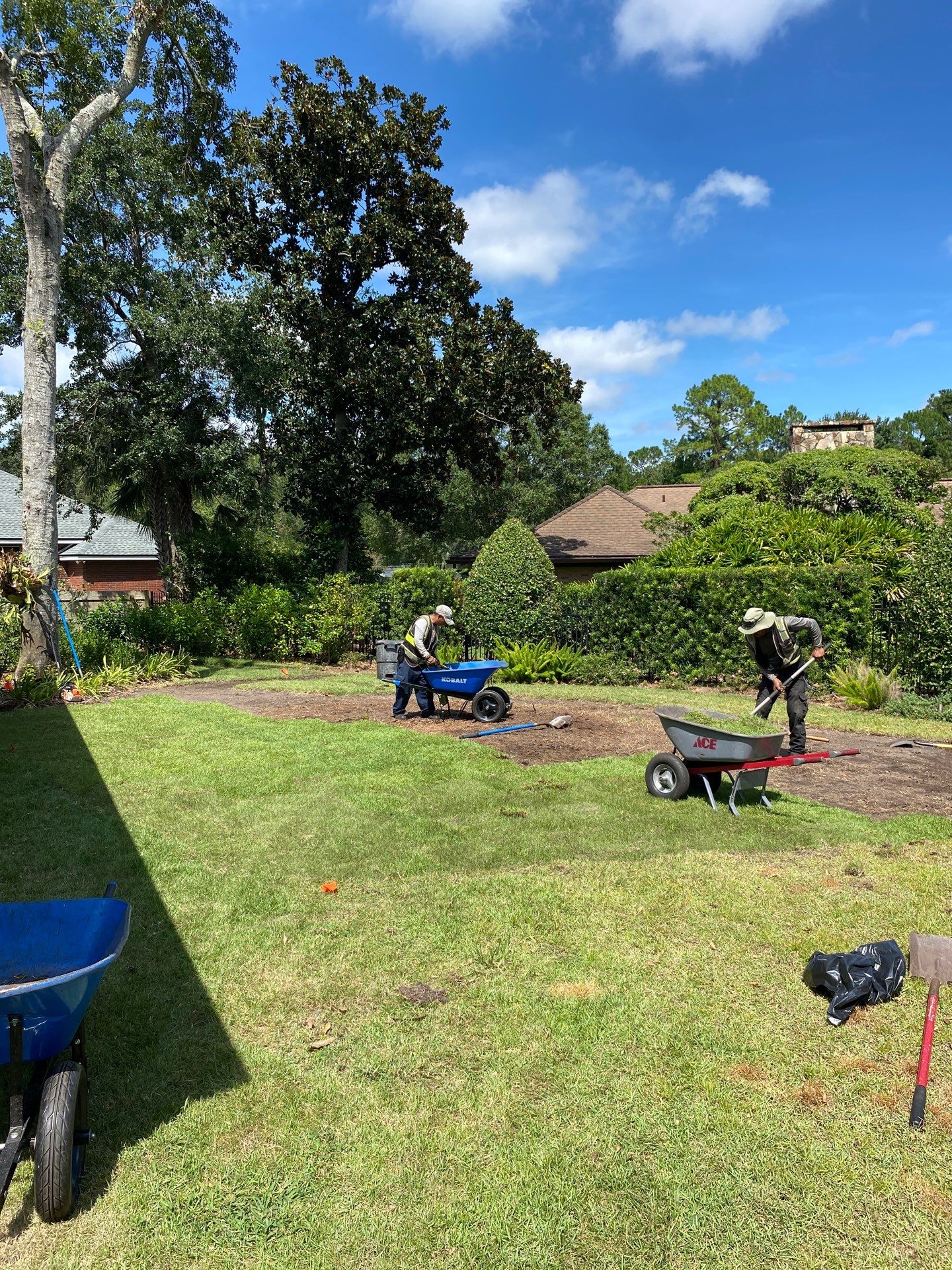 Deerwood Resident | Zoysia Sod Installation by ProGreen Services