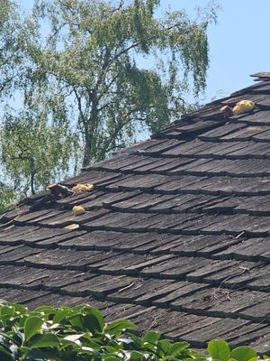 Roof Repair Project in Burien