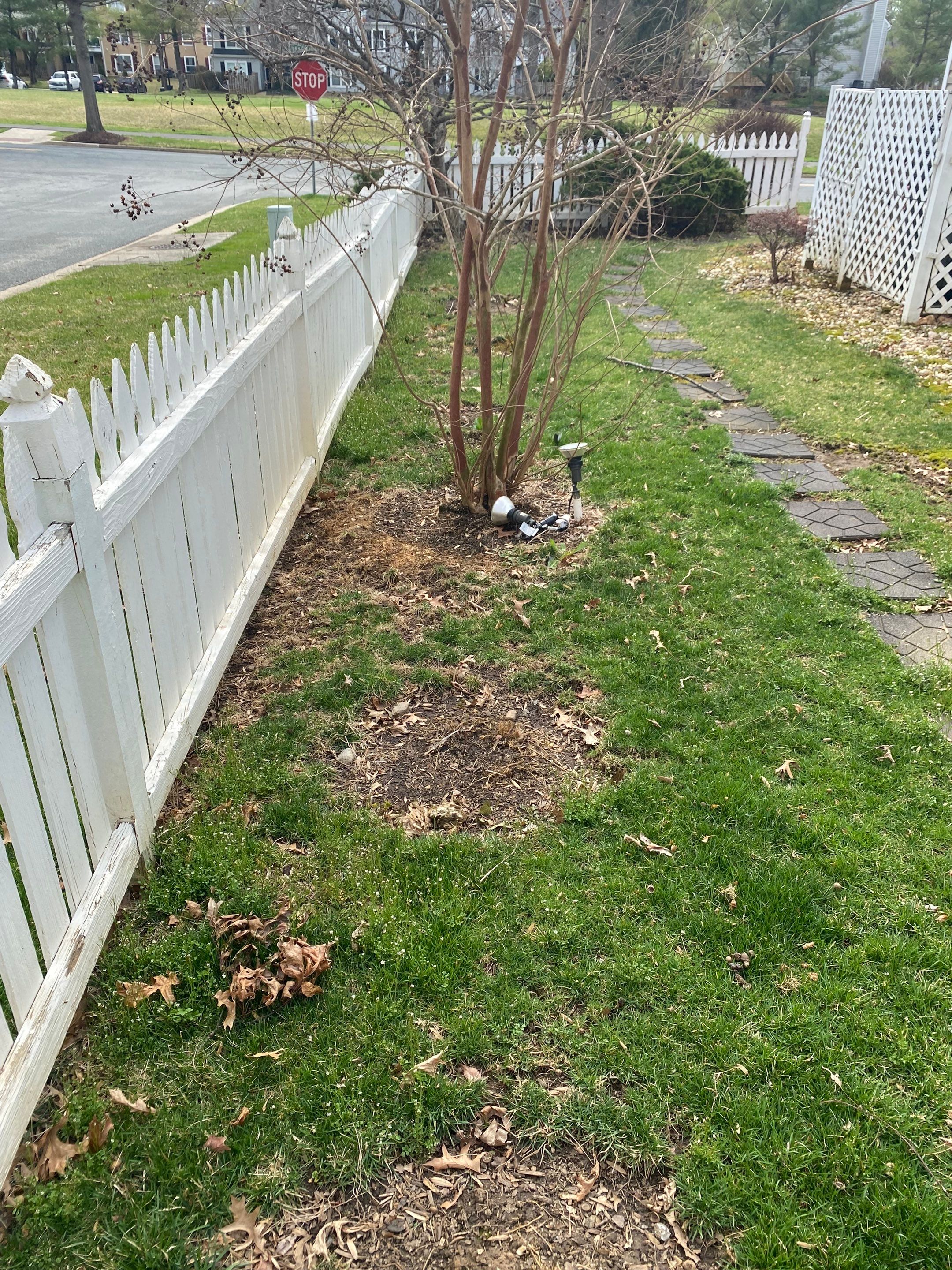 Landscape Design and Cleanup by The Smet Companies, LLC