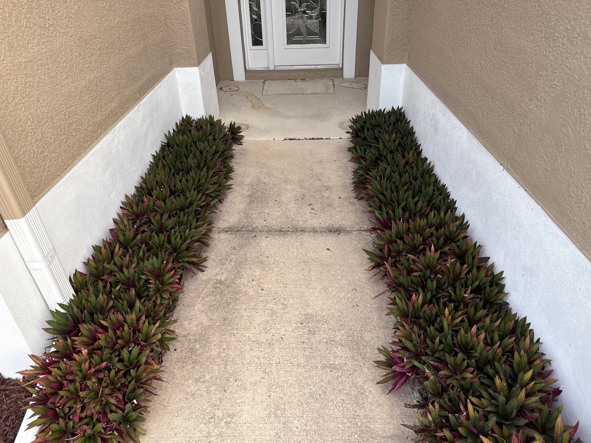 Crystal Lakes Pool Cage, Driveway & Window Cleaning | Sunshine AquaWash | Palmetto, FL by Sunshine AquaWash