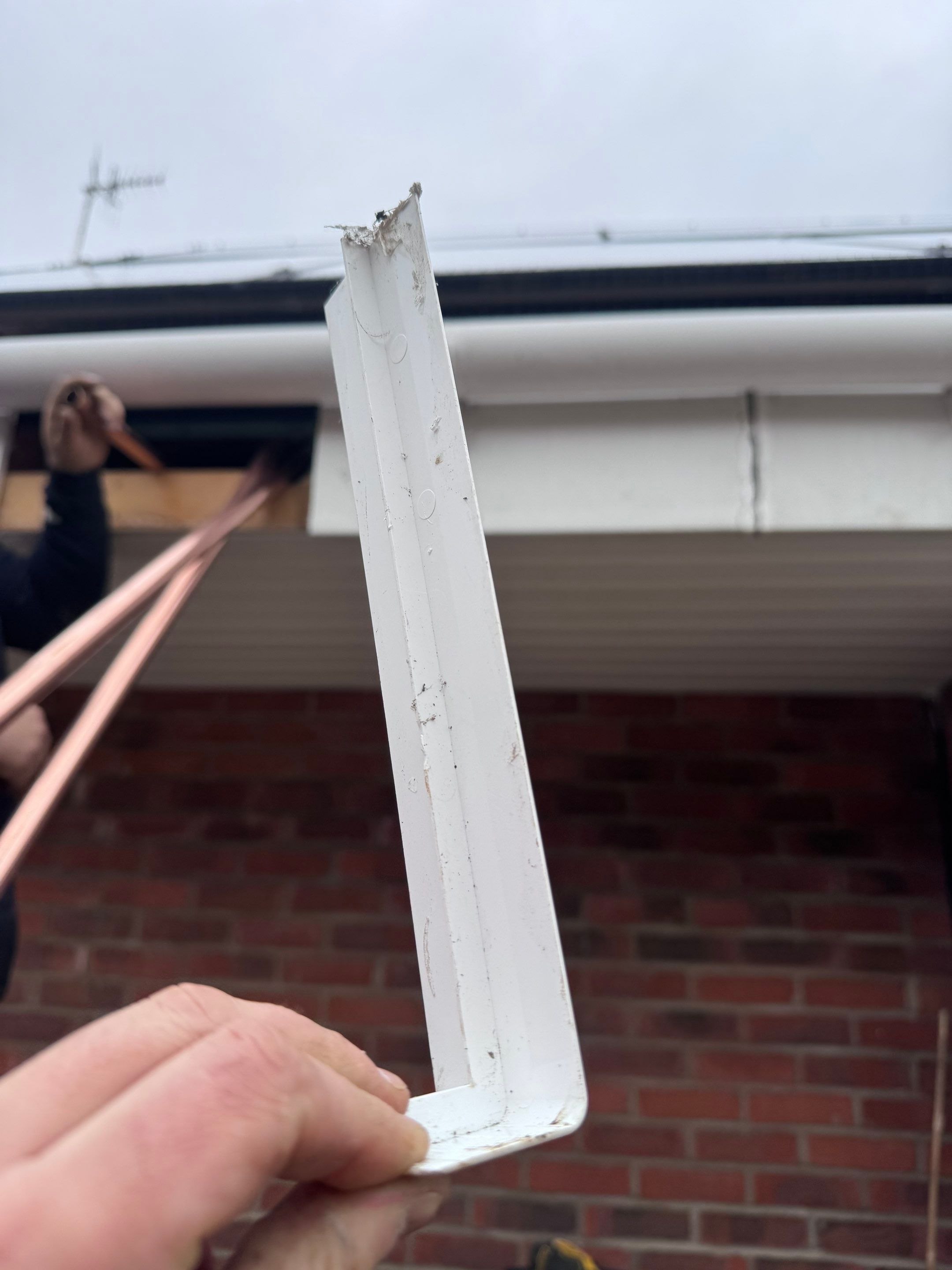 🔋 Taking Control of Energy – One Home at a Time by Elite Services Group Ltd