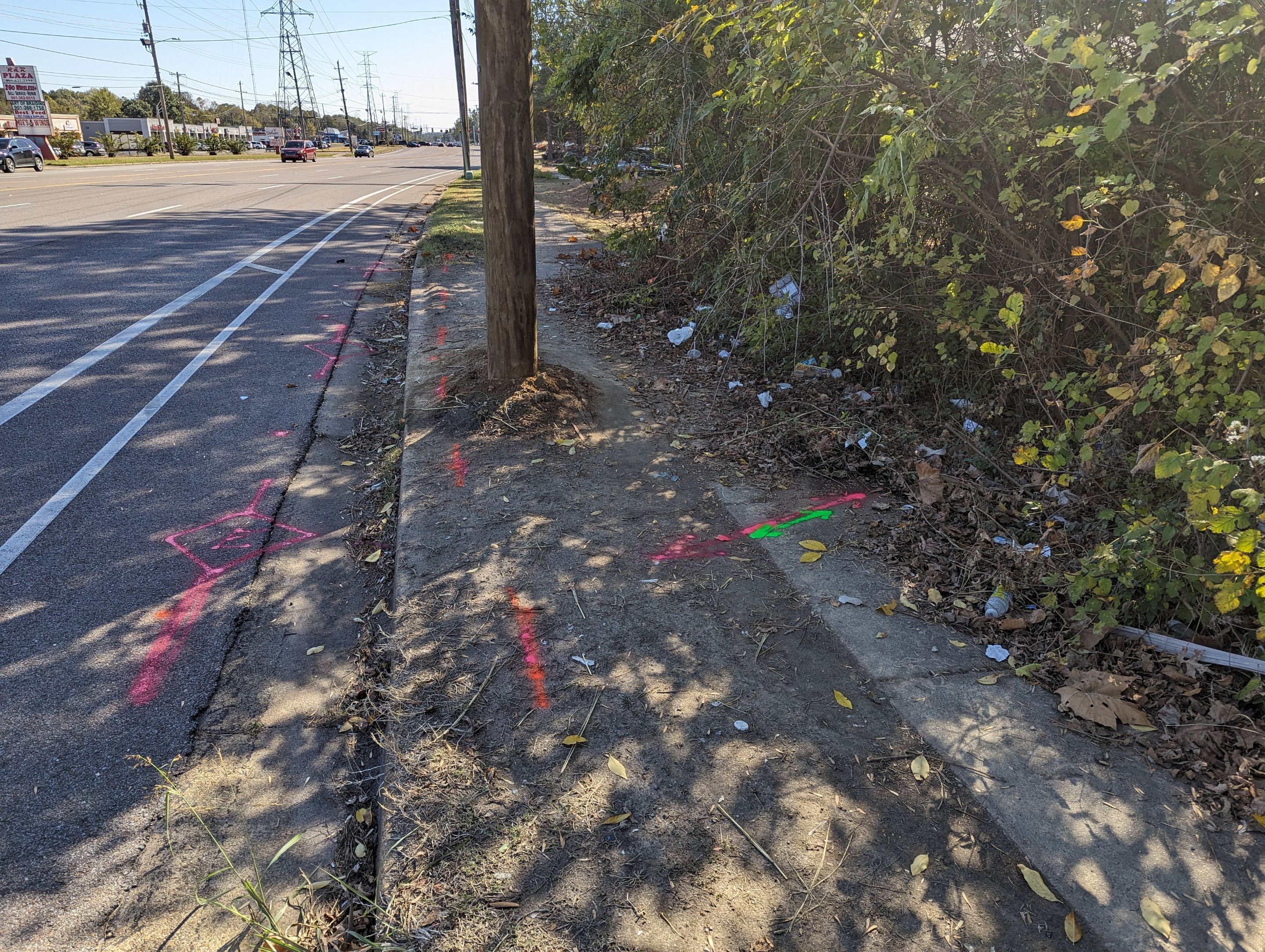 Utility Locating and Verification for Survey Crew by Alsip Locating Service, LLC