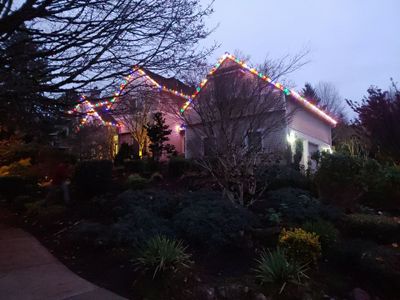 Holiday Lighting using C9 Opaque LEDs