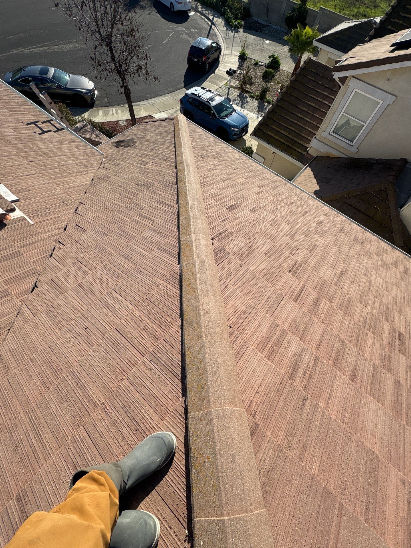 Moss Removal by Top Elevation