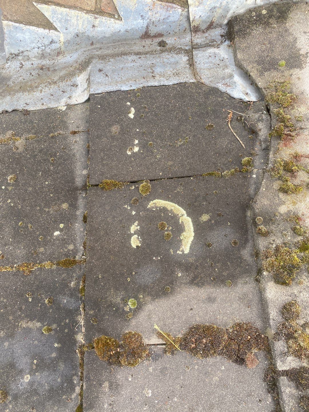 Roof Clean - Moss Removal using Honda 15lpm Low Pressure Washing Machine by Ges Exterior Cleaning ltd