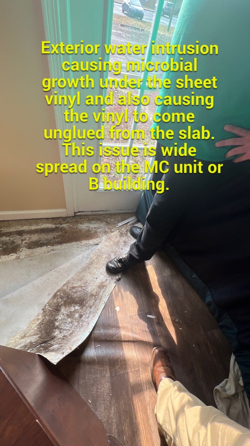 The Gardens of Rome by PC&D