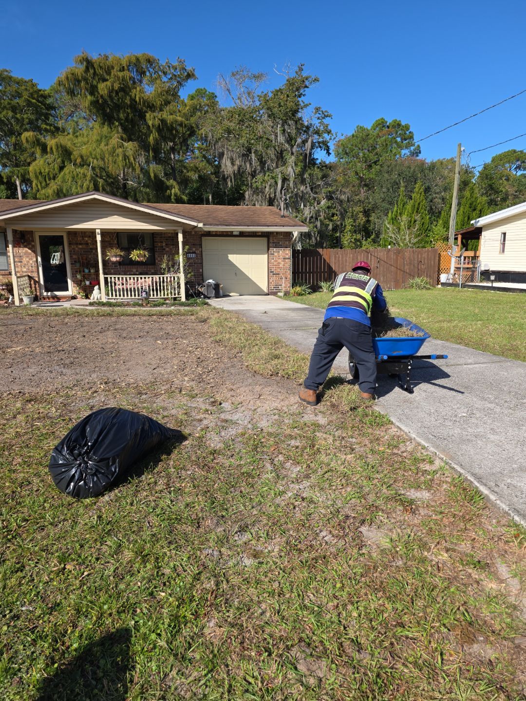 Tree Removal & Sod Install | Residential by ProGreen Services