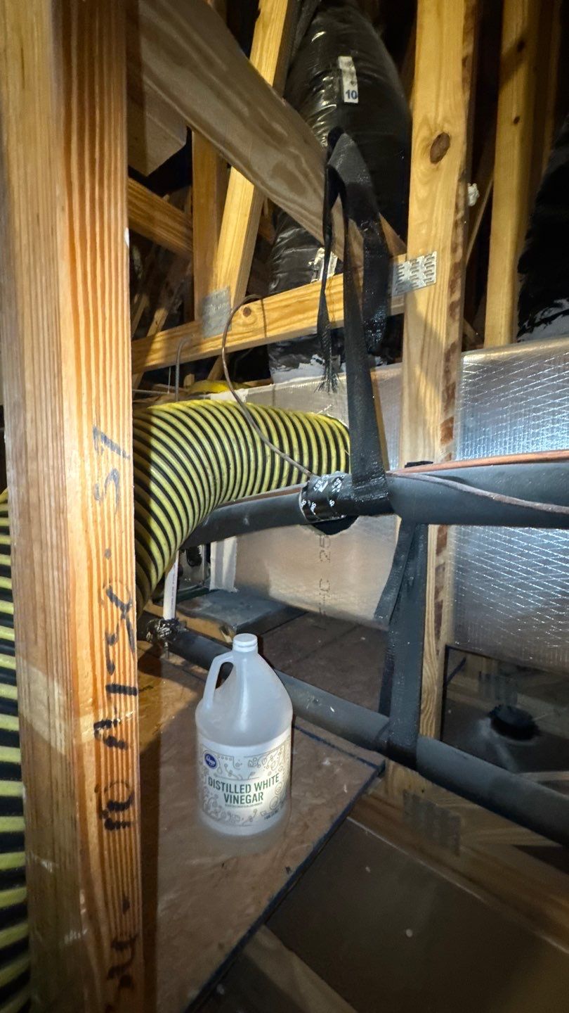 Air Duct Cleaning in WInter Garden by Hygienic Air, Inc