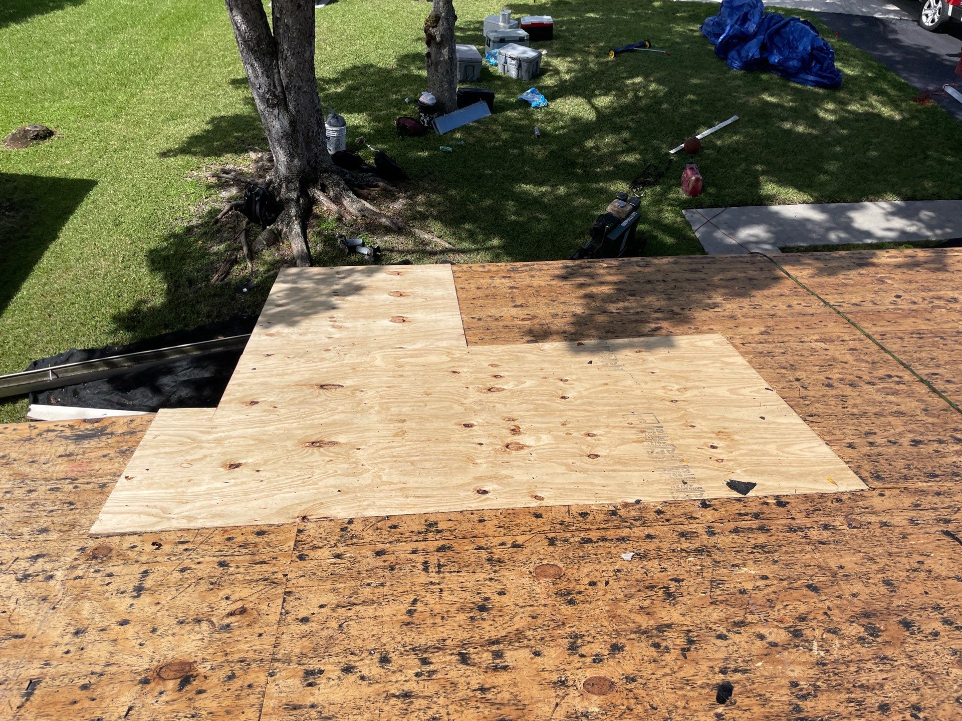 New Shingle Roof in Sunrise by First Due Roofing