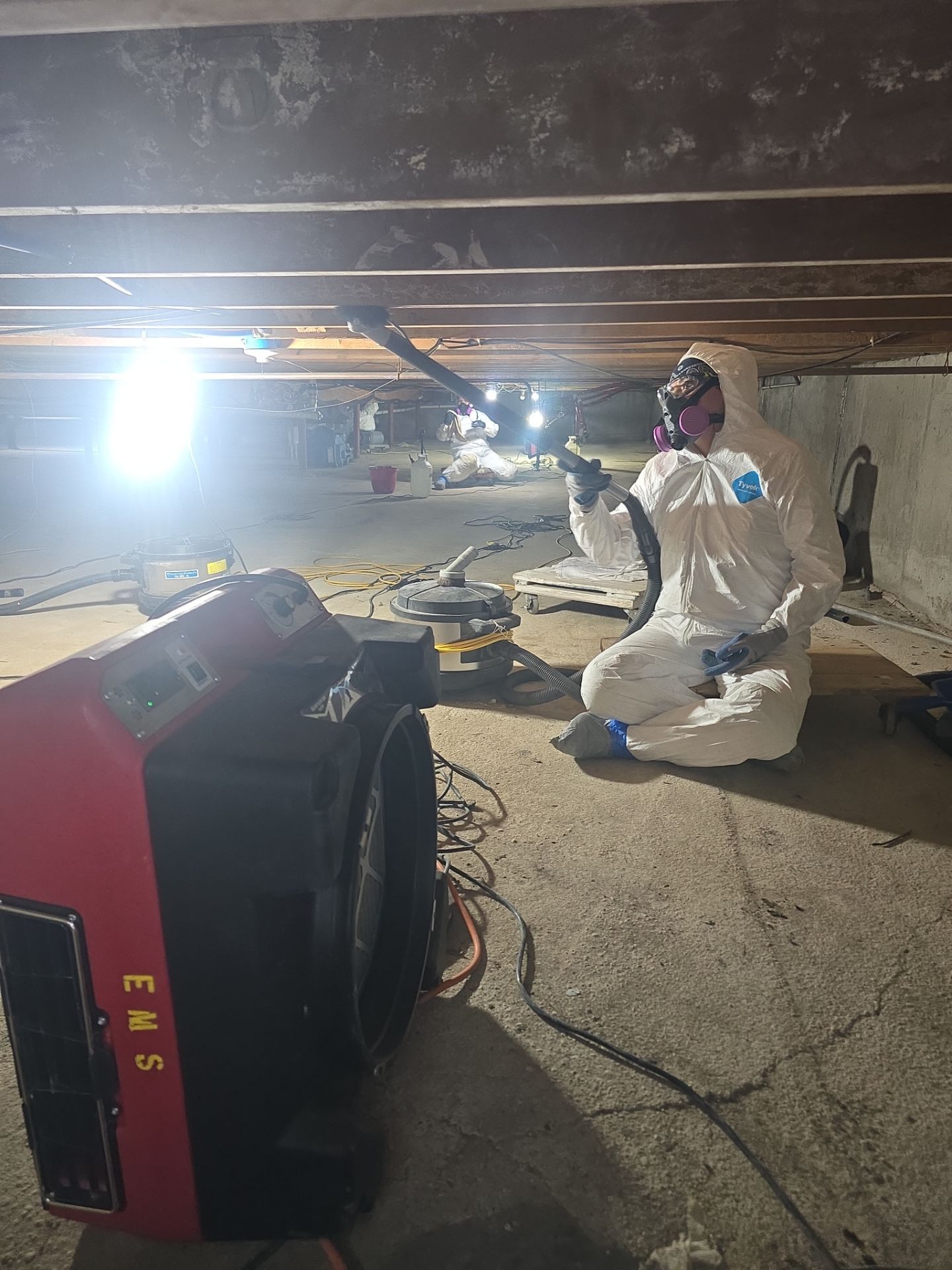 Crawlspace Water Mitigation and Structural Mold Remediation in Port Jefferson by EMS Restoration Corp