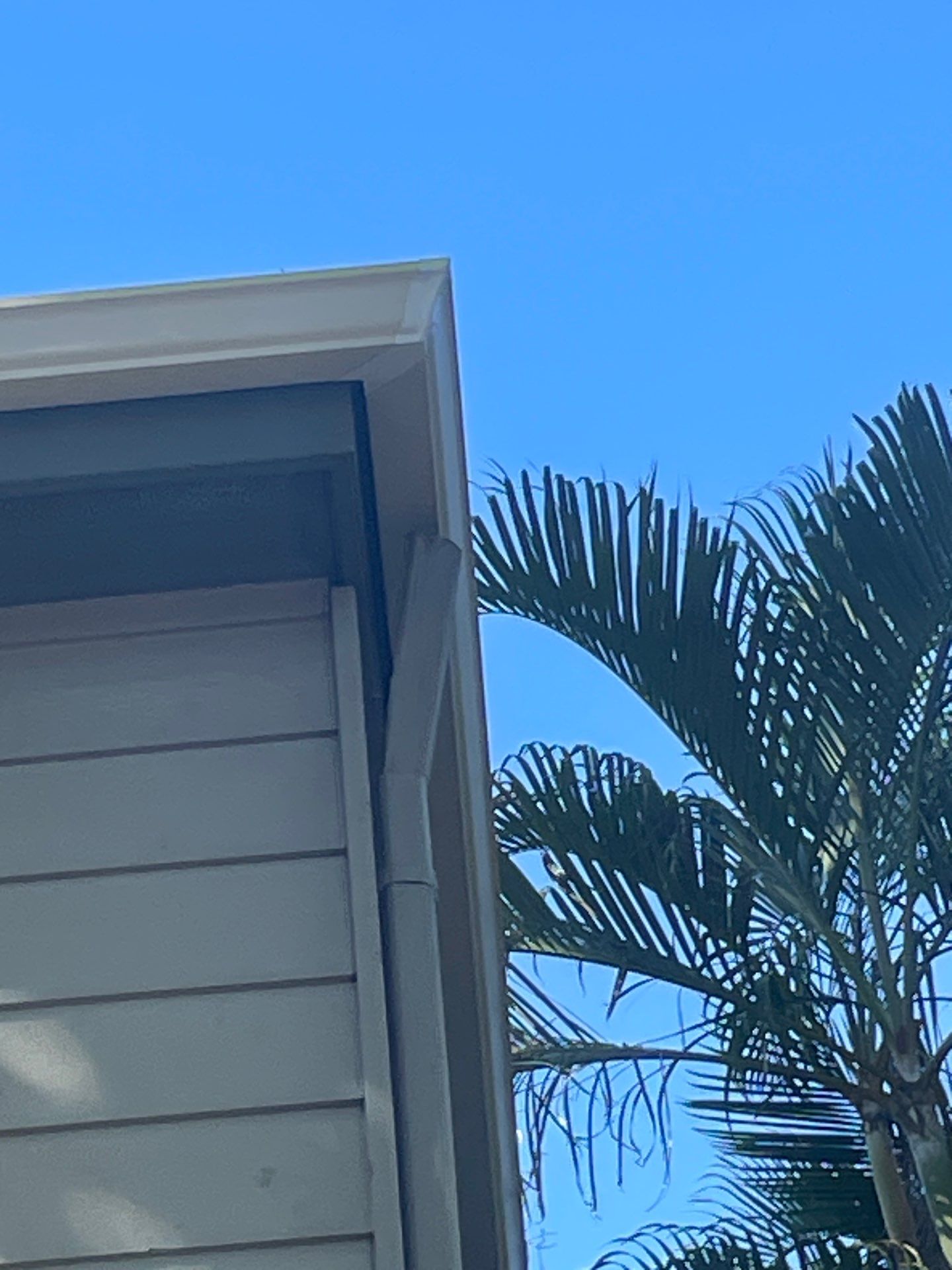White Gutters Repair and Installation in Sarasota FL by Gutter Professors