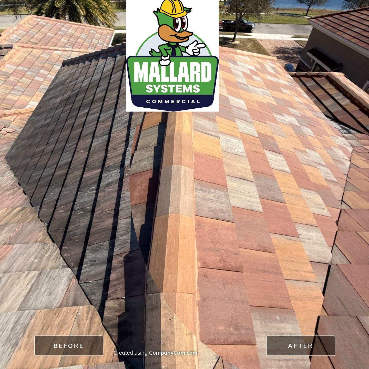 Flat Tile Roof Cleaning by Mallard Systems