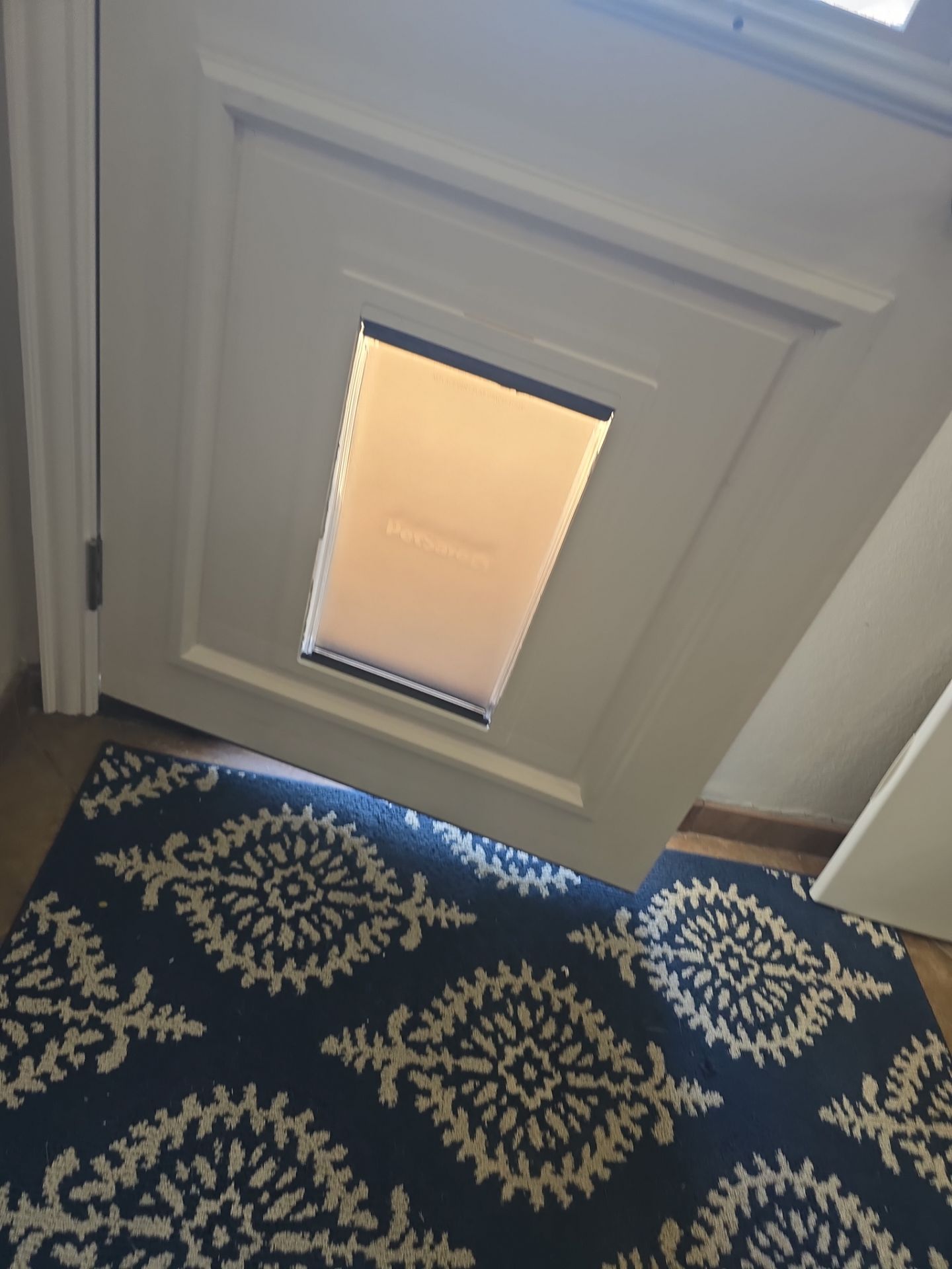 Dog Door Replacement by First Out Roofing 