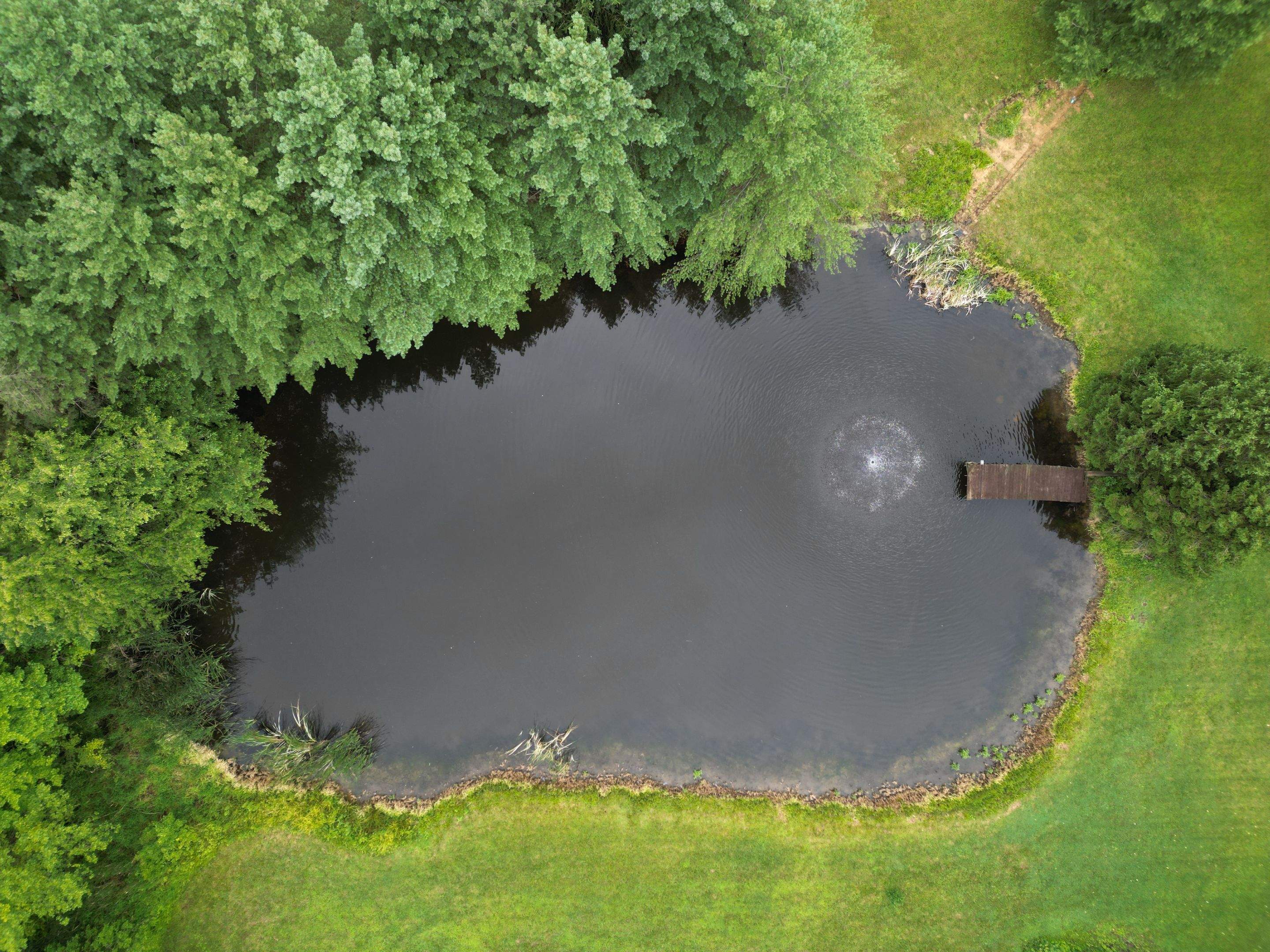 2025P1 by Bellus Aquatic Solutions