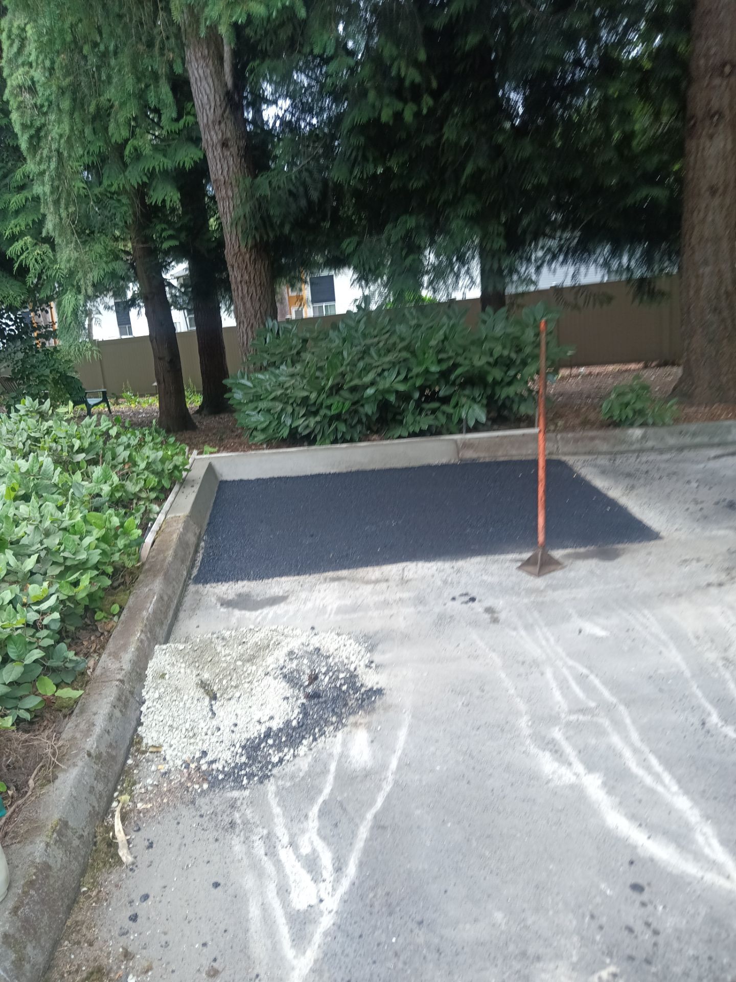 Curb Repaint | Seattle  by Jireh Asphalt & Concrete Inc 