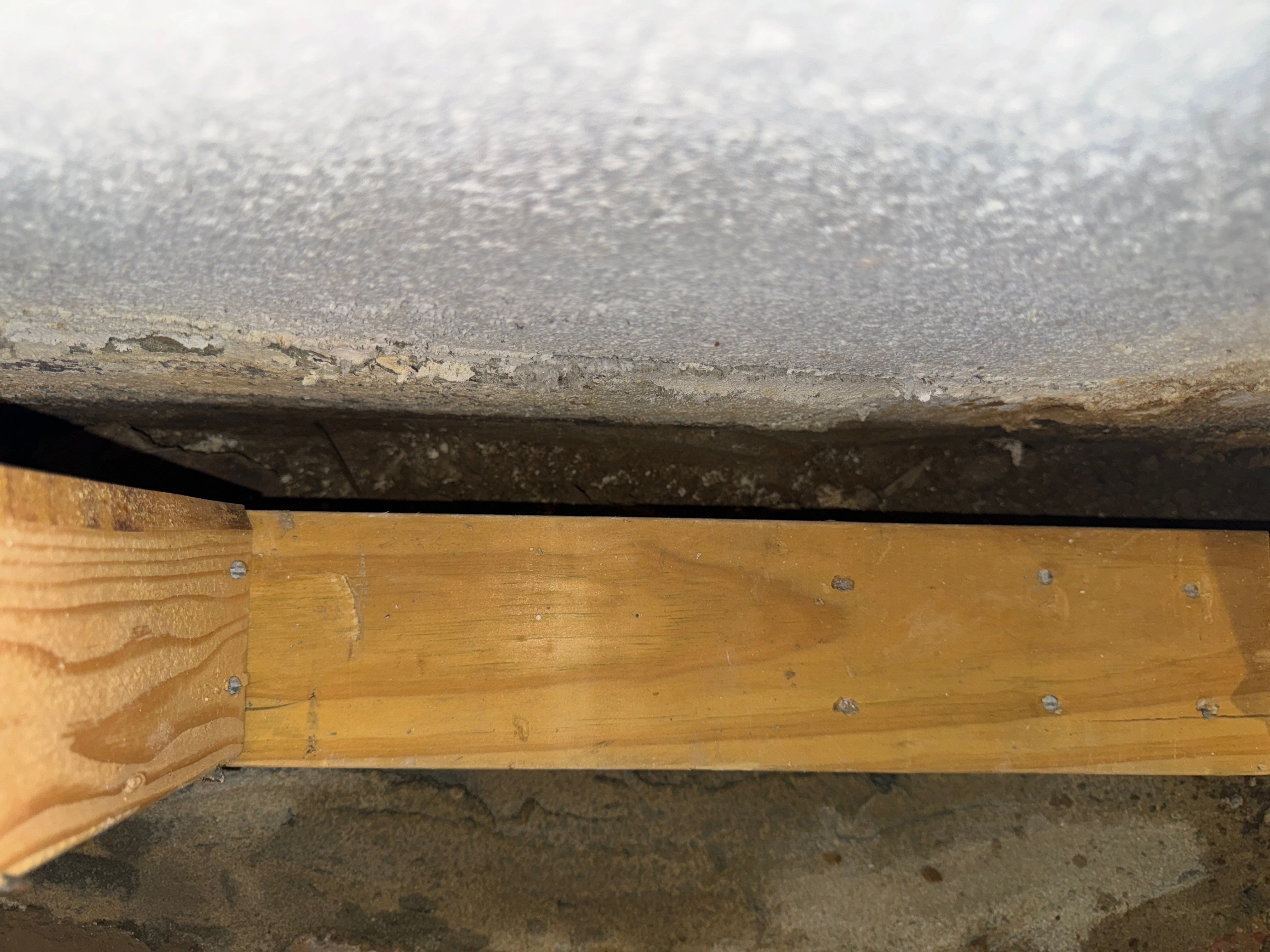 Interior French Drain Livingston NJ by Pure Service Pro, LLC 