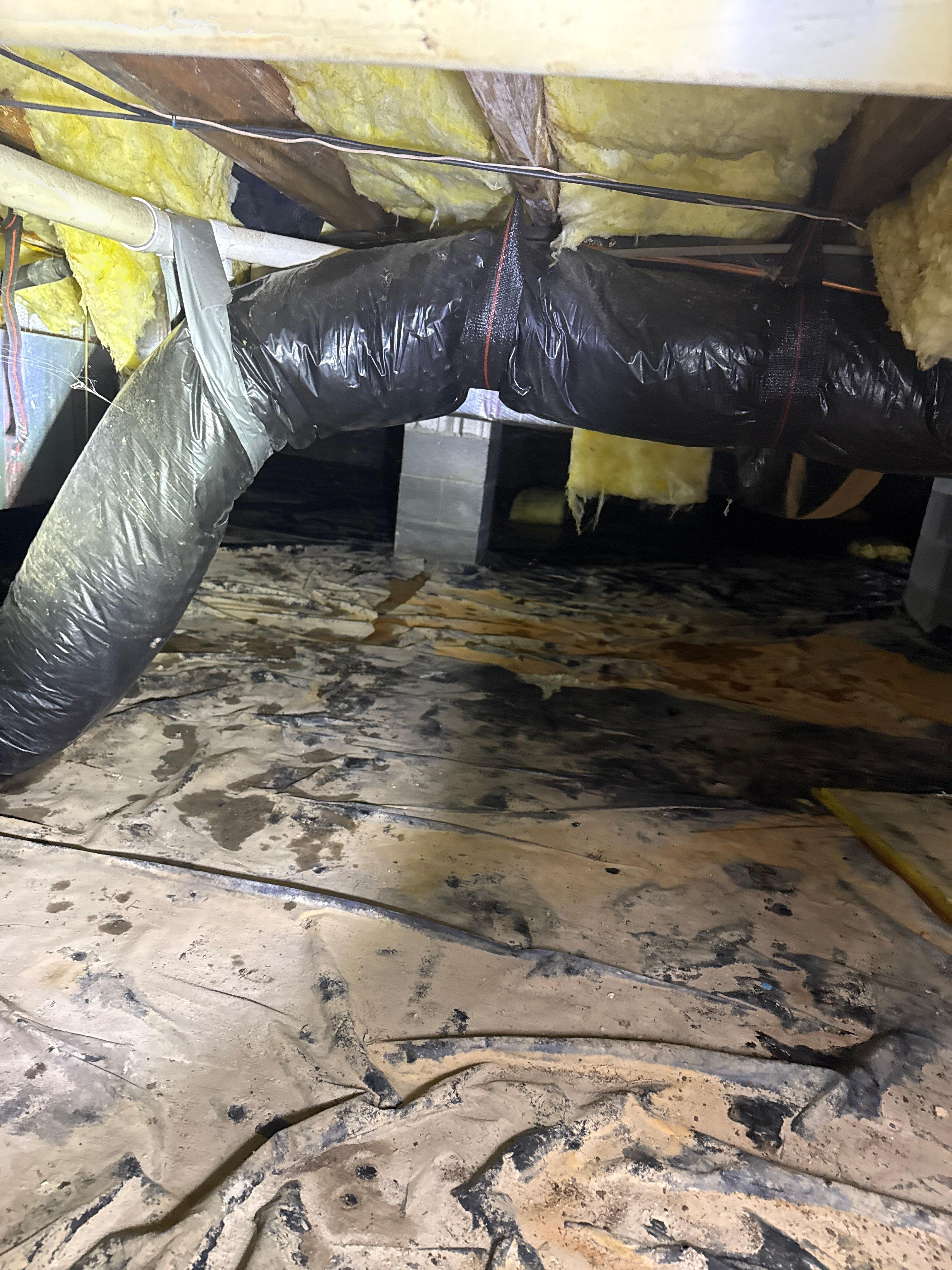 Water Damage& Mold Remediation Project-Dover, DE. by Healthy Home Solutions