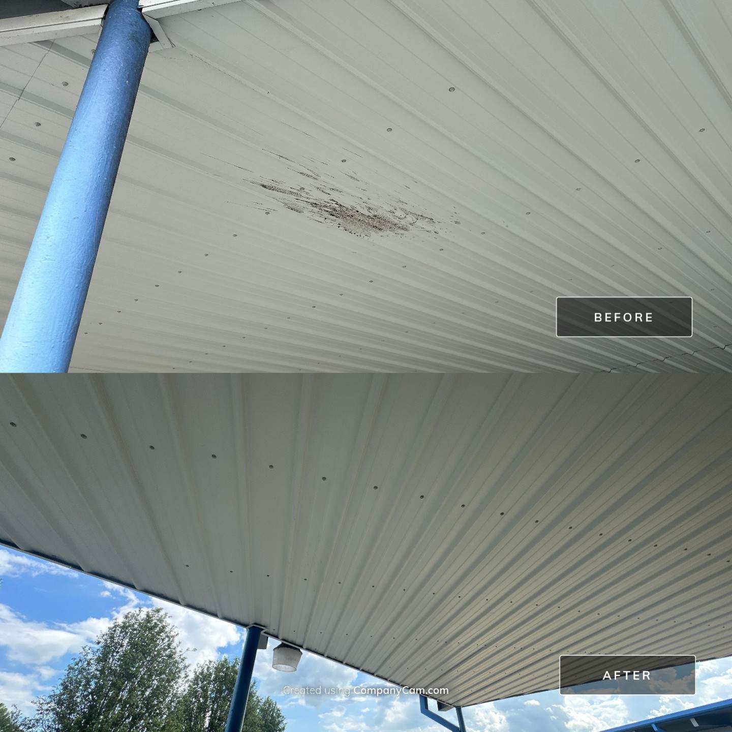 Lewisburg Middle School by Mr. Mister Power Washing