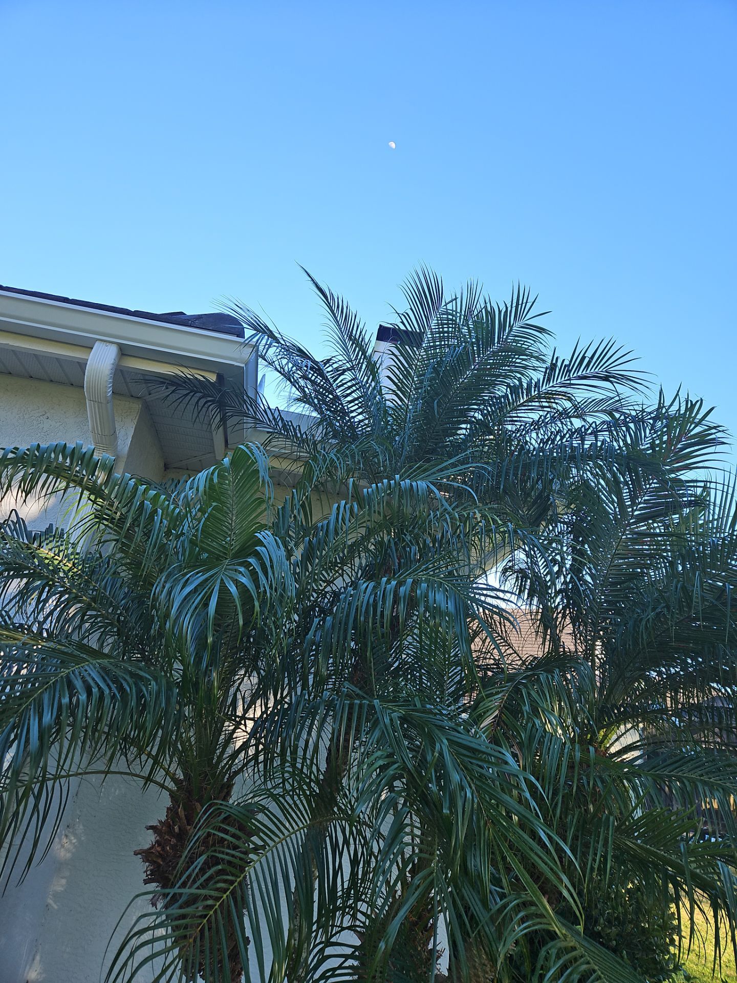 White Down Spouts using downspouts and White Seamless Gutters in Sarasota FL by Gutter Professors