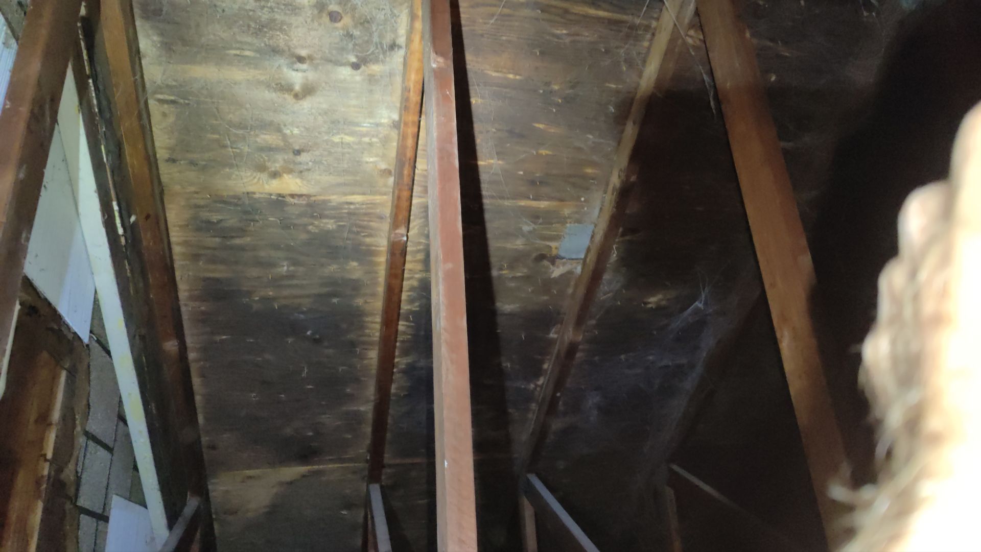 Roof Replacement using Owens Corning Midnight Plum by 180 Contractors