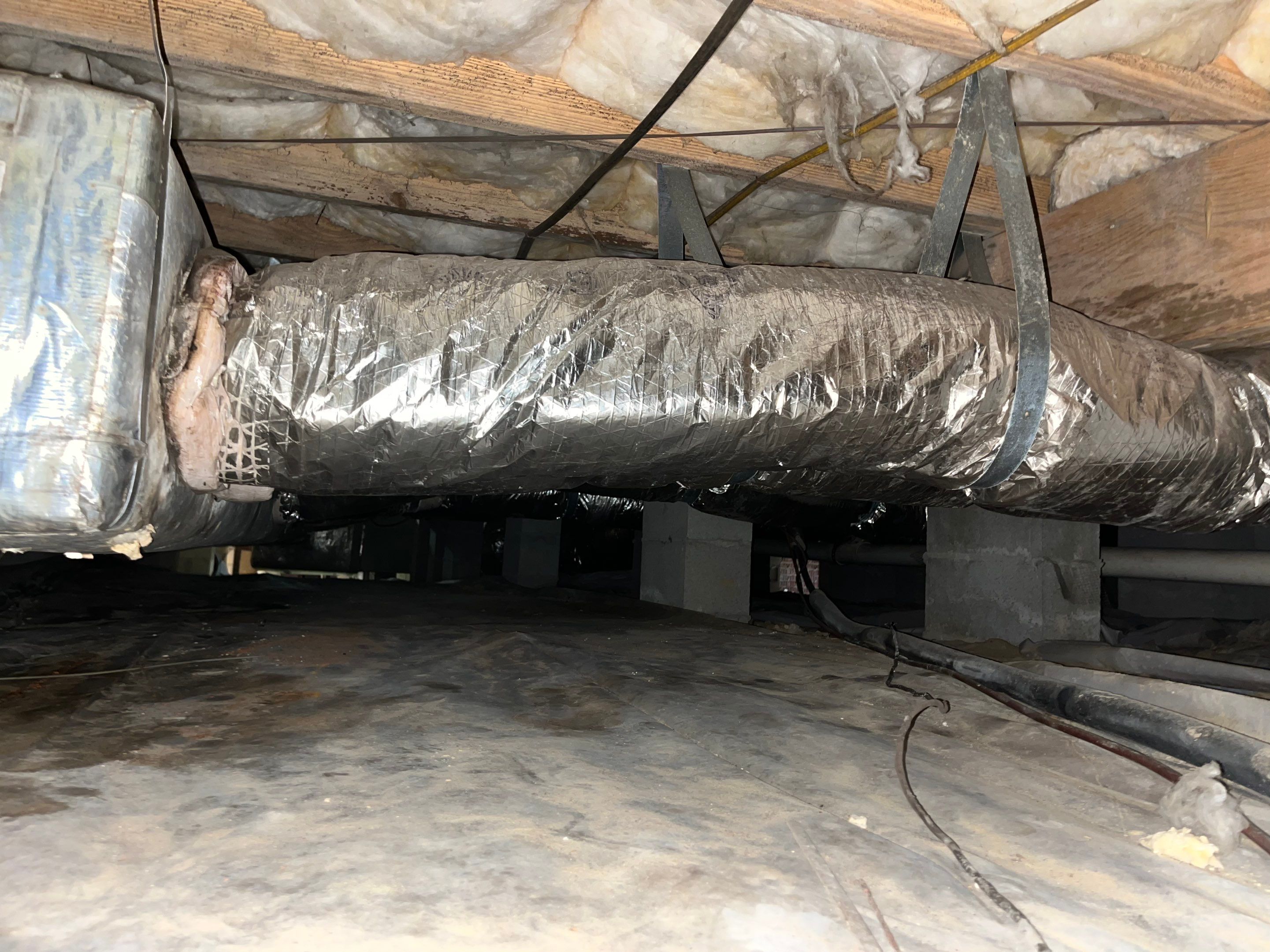 Impact Choice Encapsulation with French Drain, Mold Removal, and Crawlspace Door by Impact Crawlspace