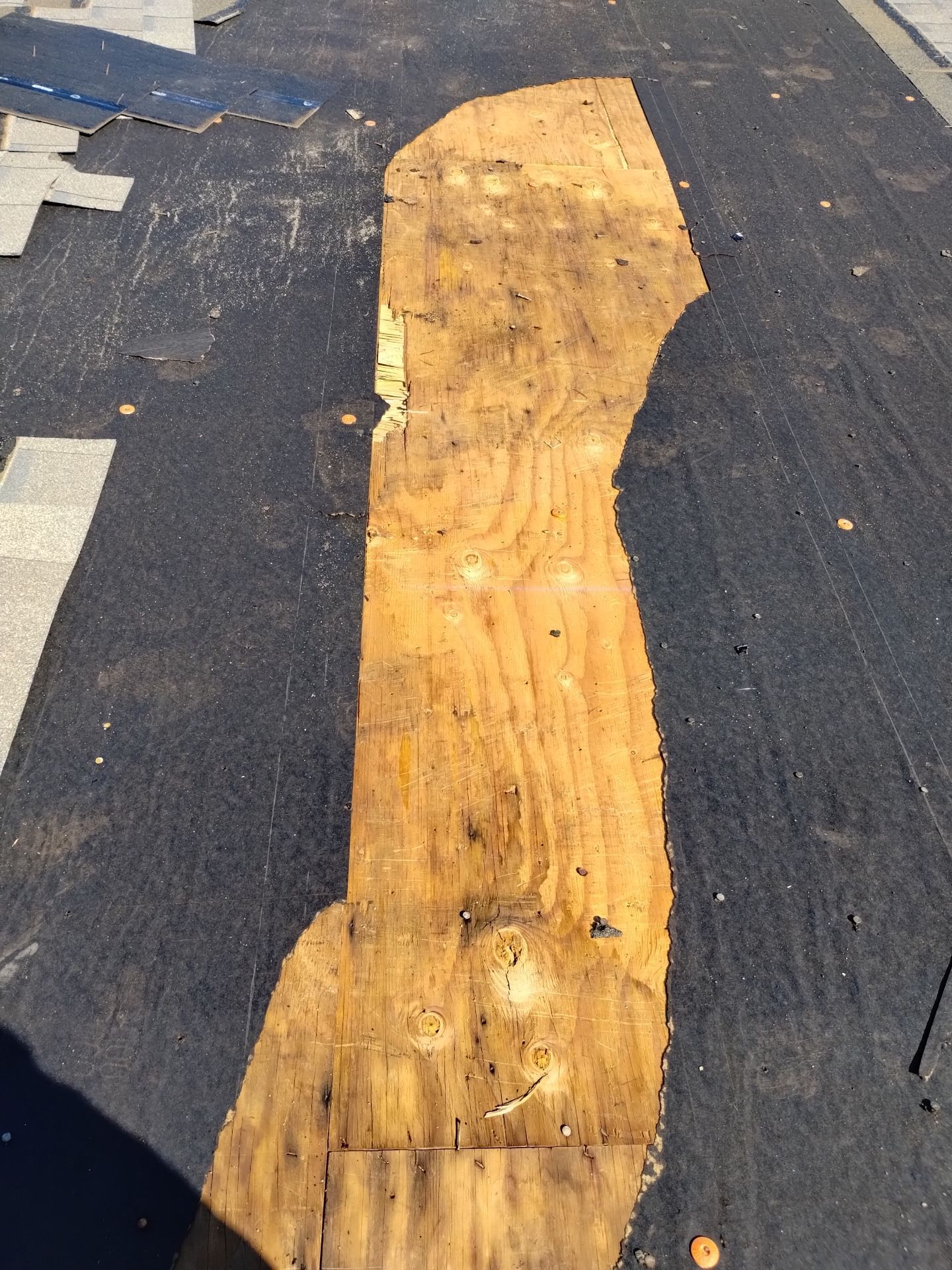 Lavern Monroe by Unified Roofing