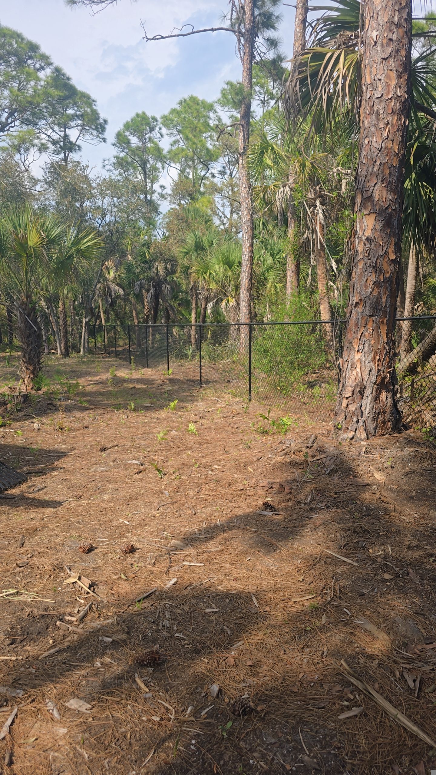 Chain Link Install in North Port by True Fence LLC