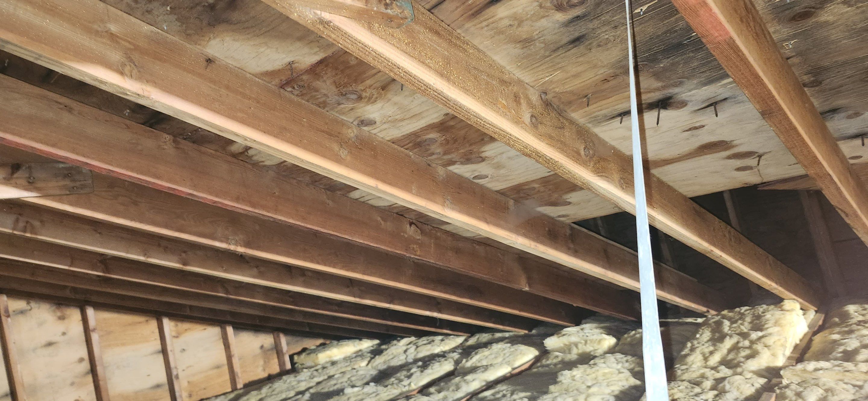 Attic Mold Remediation in Montville, NJ by Pure Service Pro, LLC