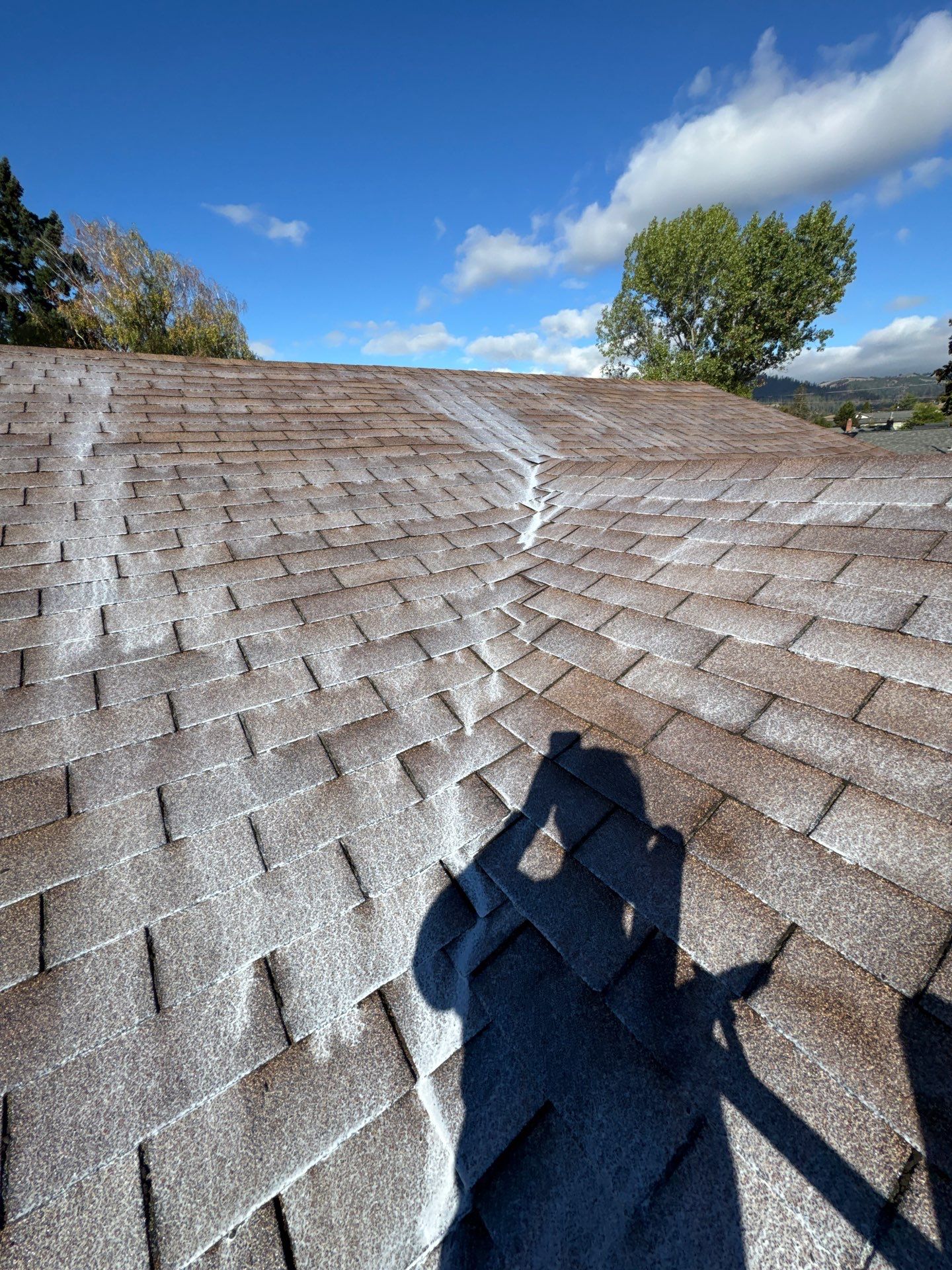 Project in Riddle by Roof Maxx of Grants Pass