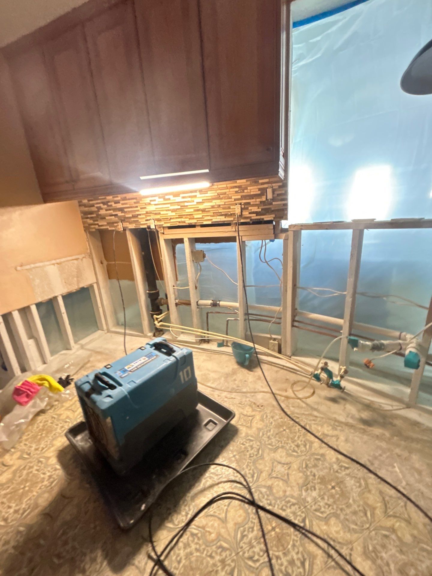 Black Mold Removal In Venice Florida by Ampm Restoration Services