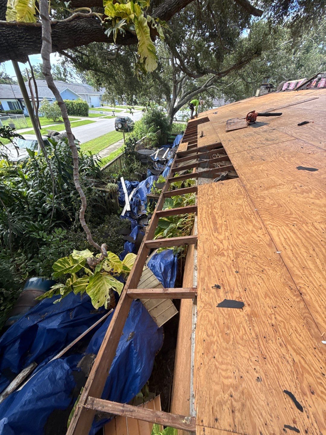 Project in Pinellas Park 33781 by Mitchell Roofing Company LLC 