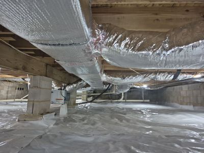 Project in Williamsburg