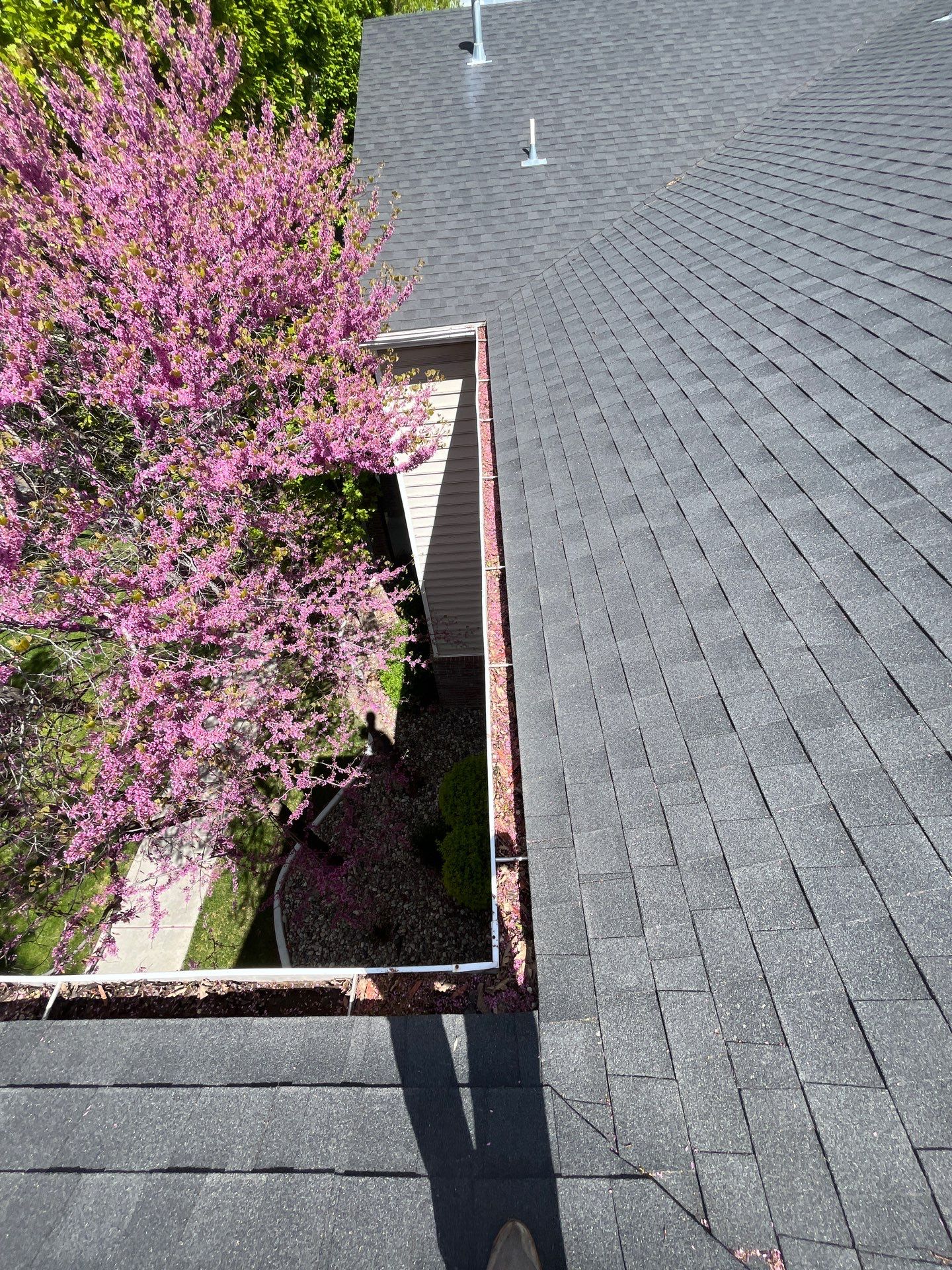Commercial gutter cleaning Ogden, UT before photo with filled gutters