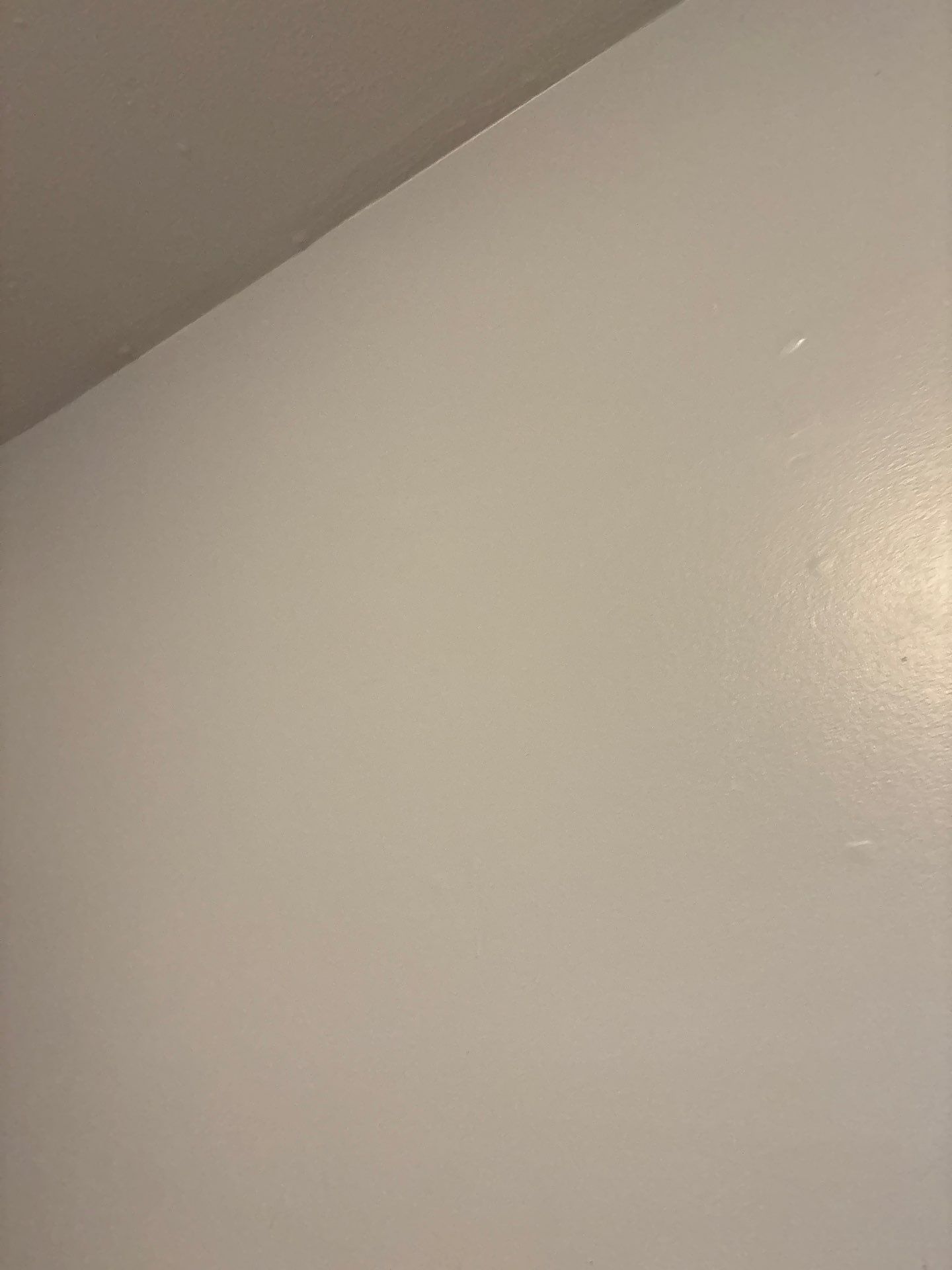 Drywall Surface Restoration and Interior Blemish Repair in Denver by CompanyCam Sales Demo