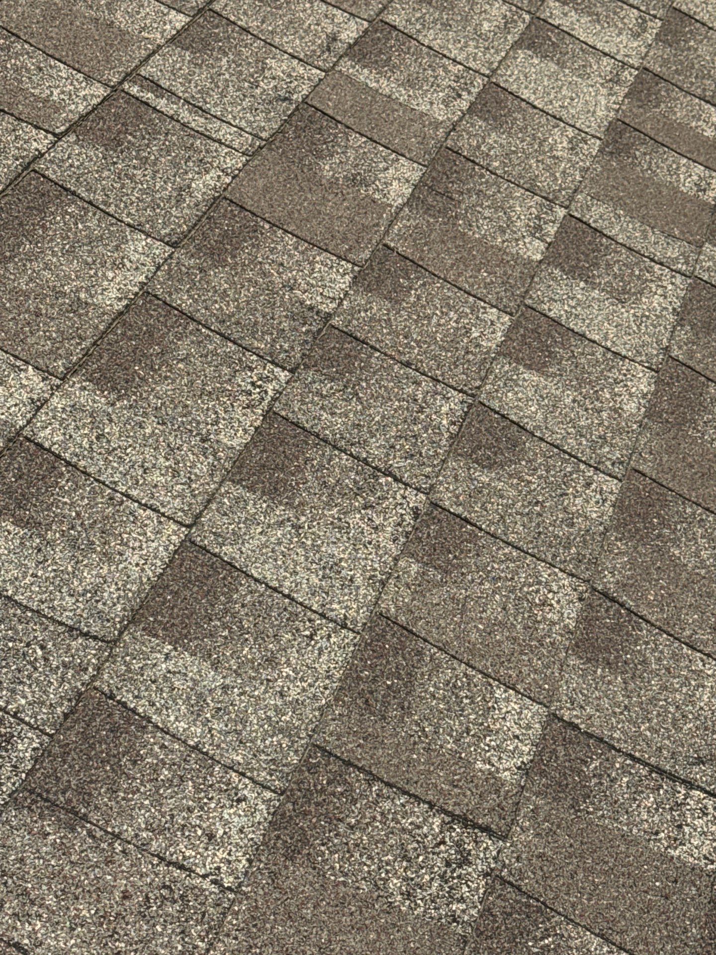 Margaret Jenkins by United Contracting and Roofing