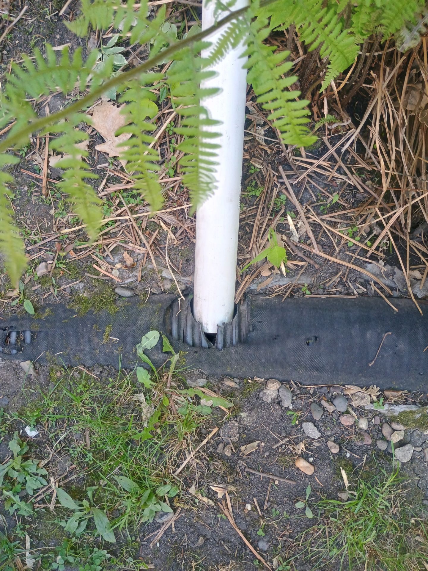 Interior Drain Tile Installation in South Minneapolis by Waterproofing Northeast