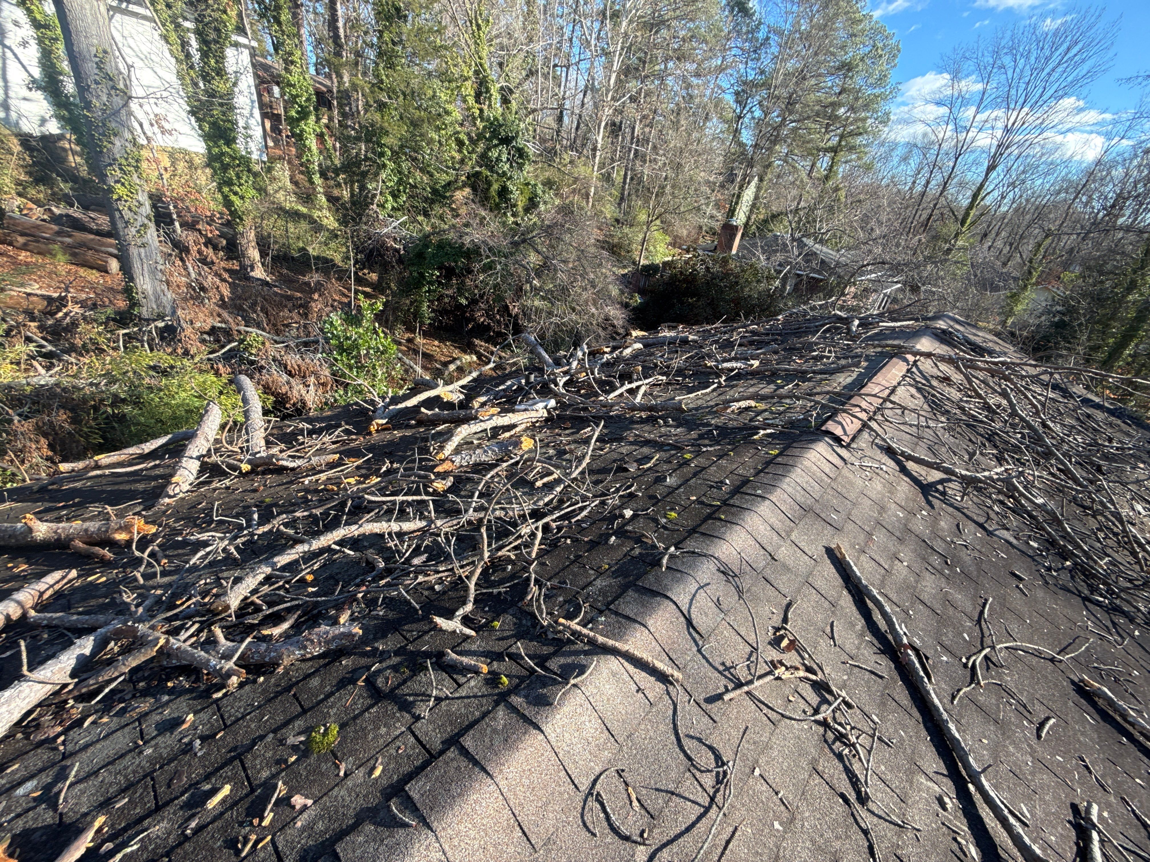 Tree Damage Restoration  using GAF Timberline HDZ by USA Storm Roofing and Construction Group