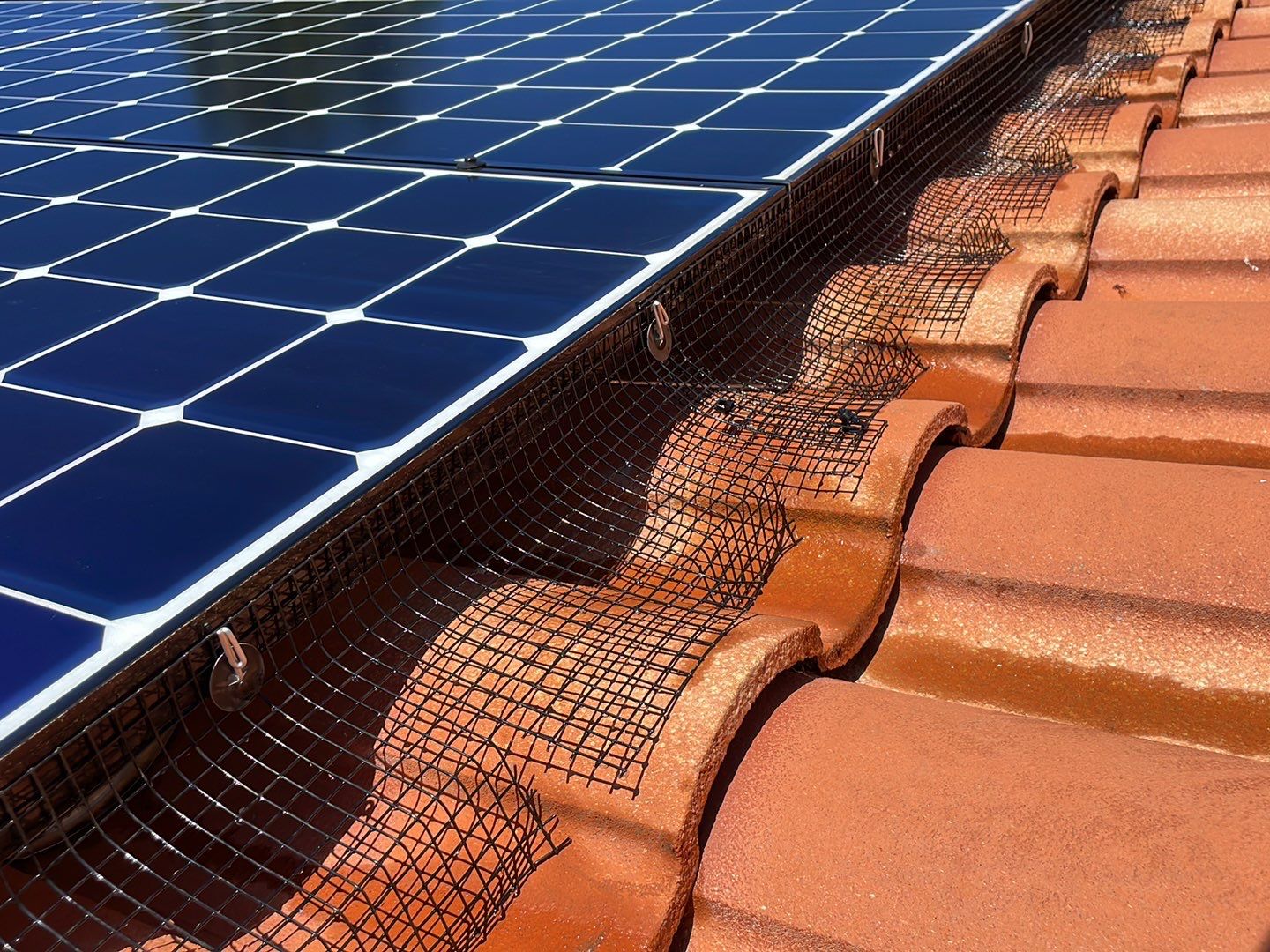 Solar Panel Bird Proofing using Critter Guard Mesh by All One Solar Shine