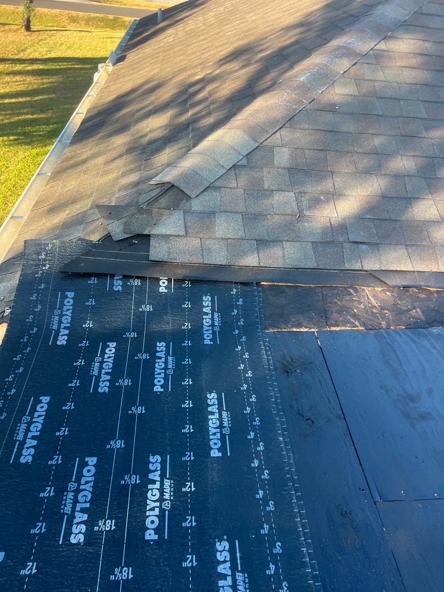 It Ain't Easy getting Shady  by Bayfront Roofing and Construction
