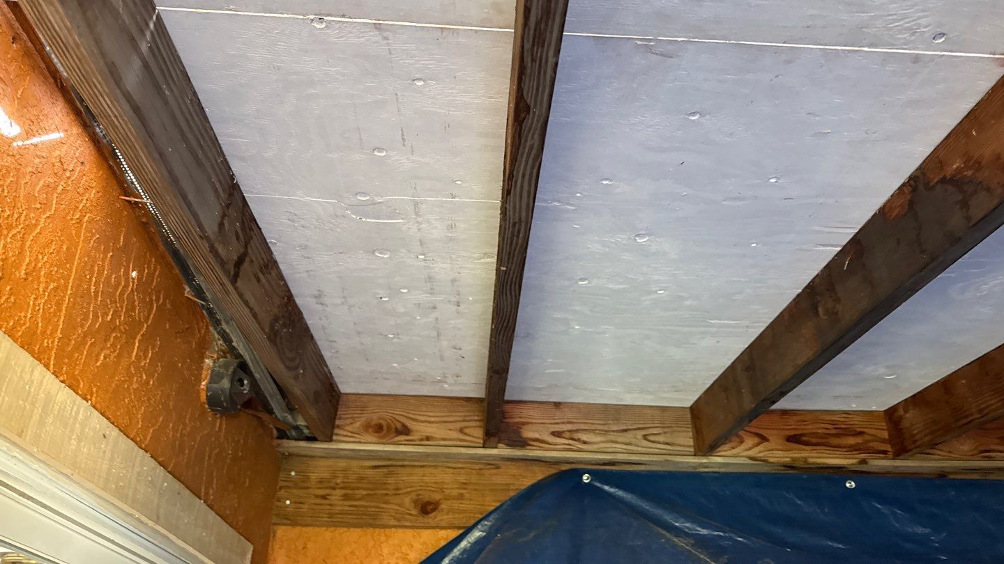 Willa Holmstock by NuLead Construction Inc