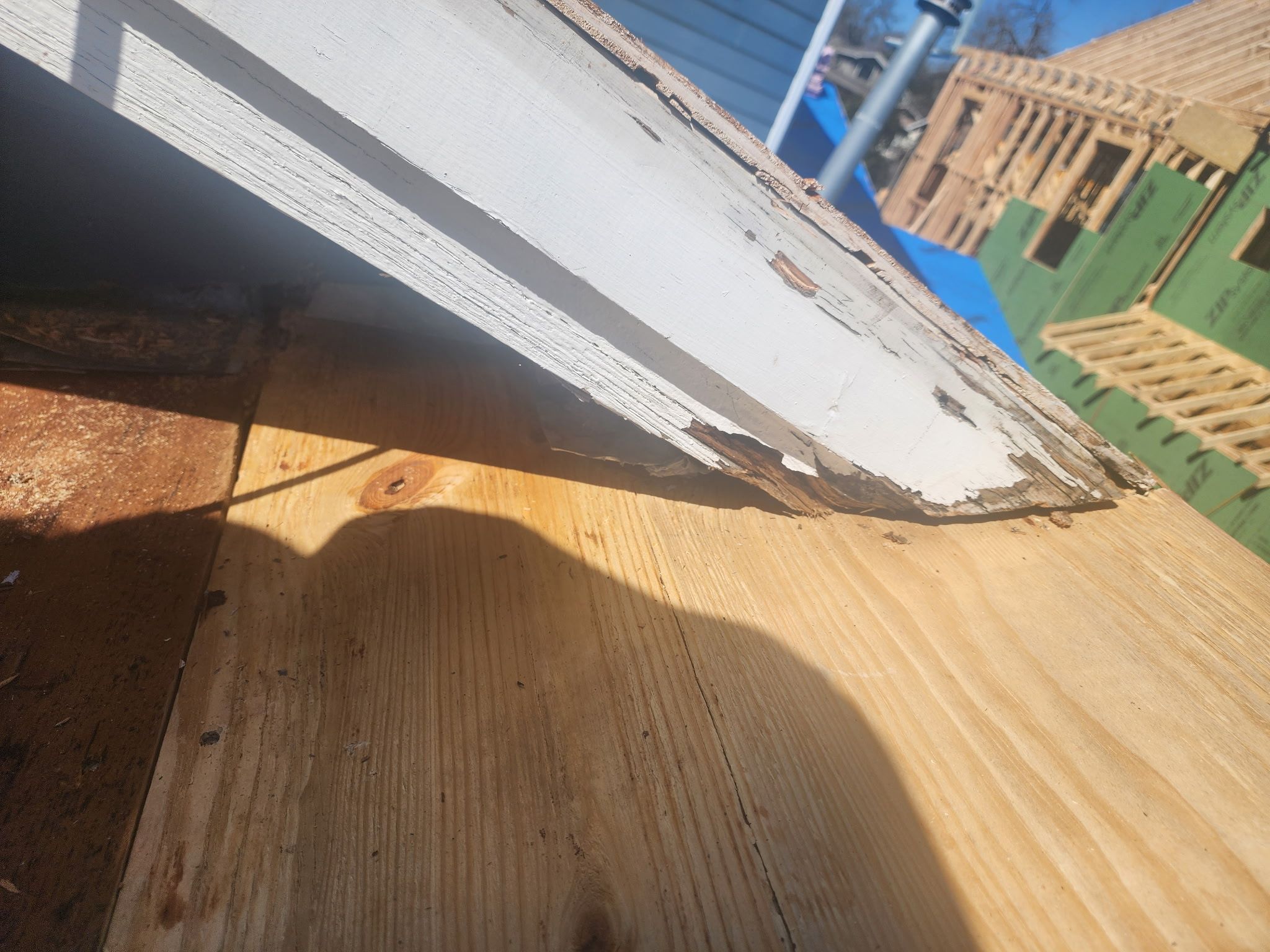 Custom skylights and all by REPS OF TEXAS