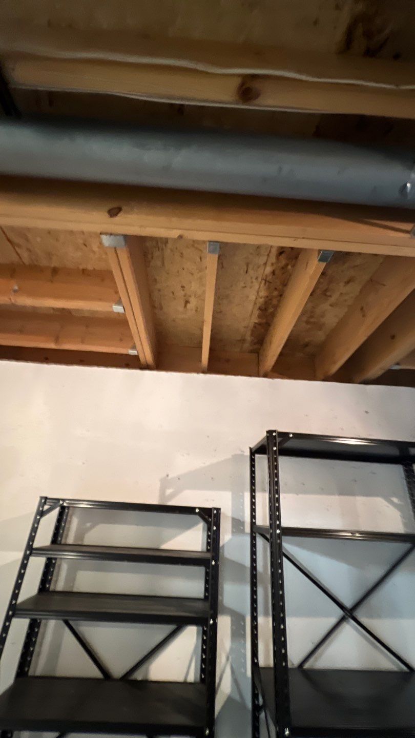 Mold Damage by Accountable Home Services