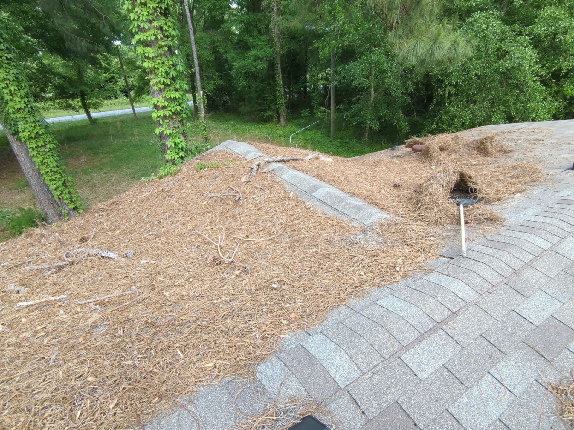 Exterior Clearing - tree trimming - grass cut by Swift Signings and Services LLC