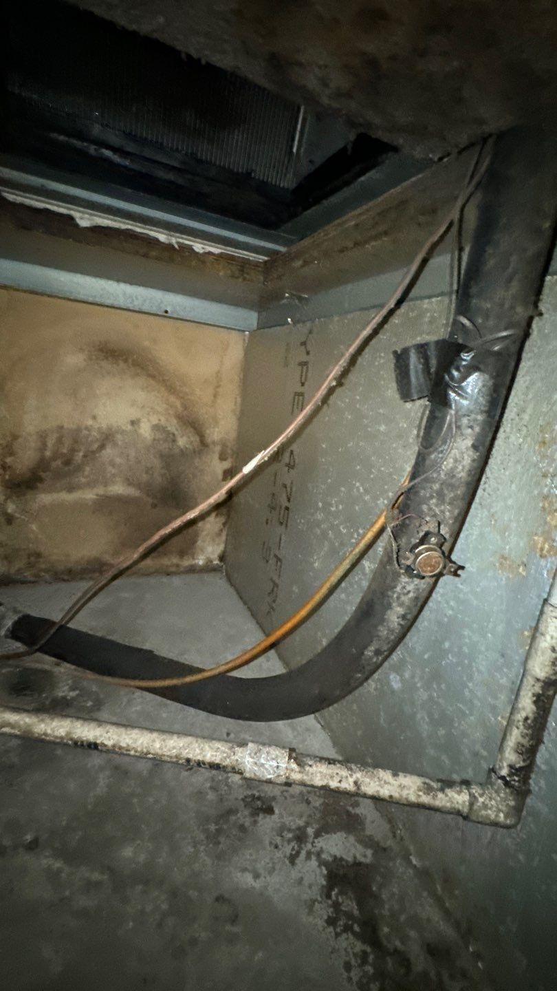 Commercial Air Duct Cleaning in Tavares by Hygienic Air, Inc