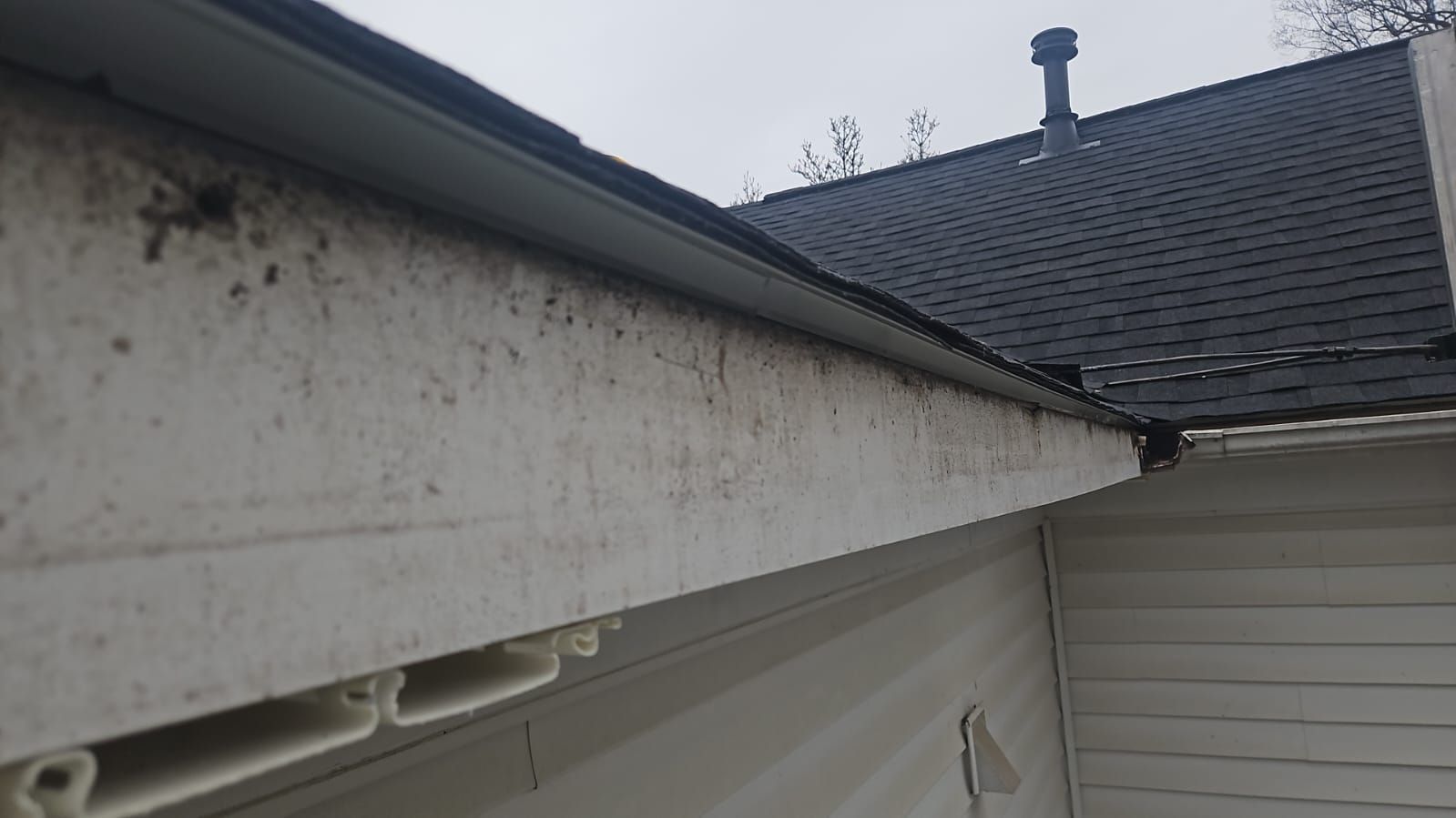 Falls Church: Residential Roof Replacement with CertainTeed Landmark Pro in Max Def Charcoal Black by RM Banning, Inc.