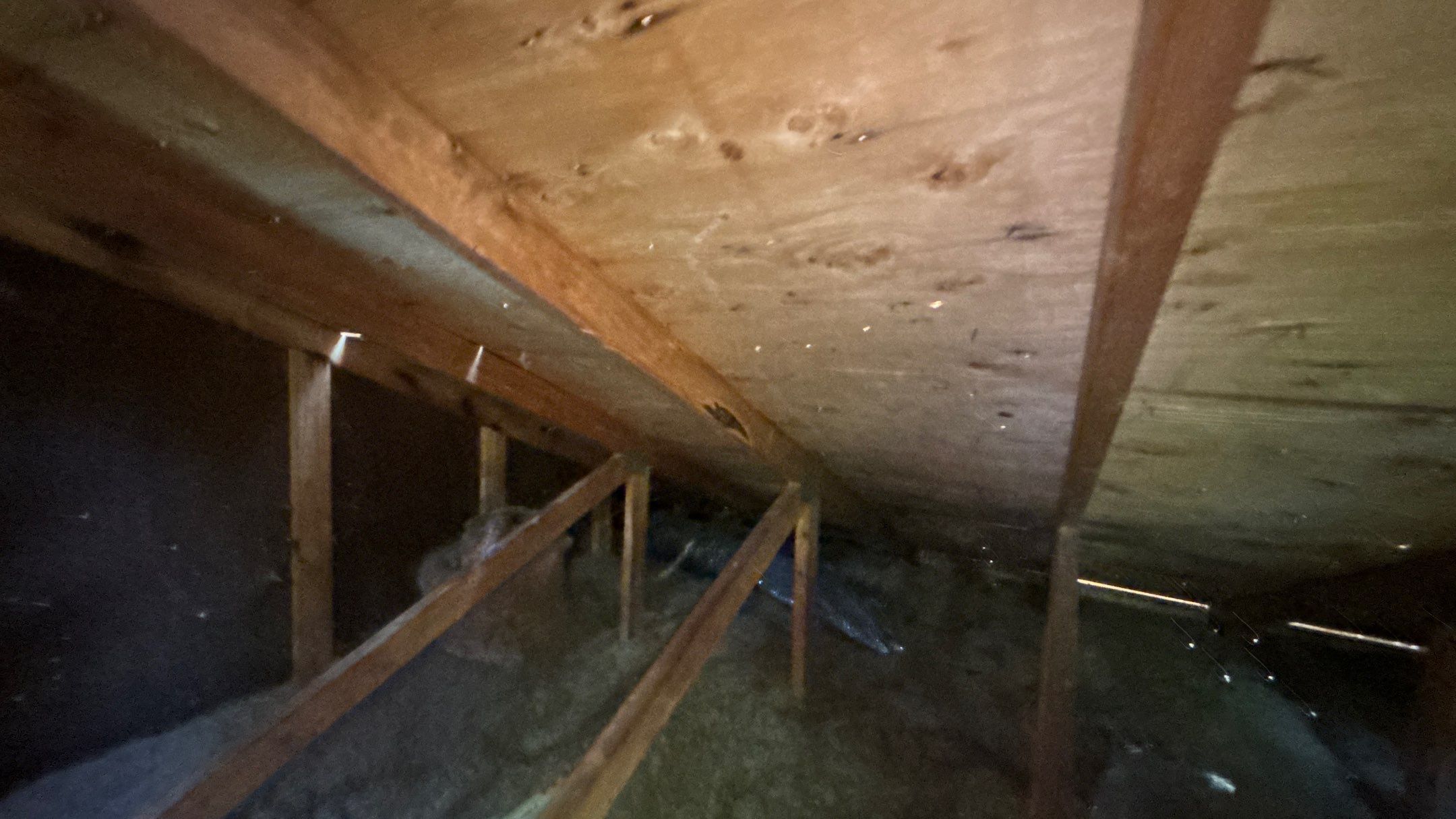 Roof Replacement using Owens Corning Tru Definitions by 180 Contractors