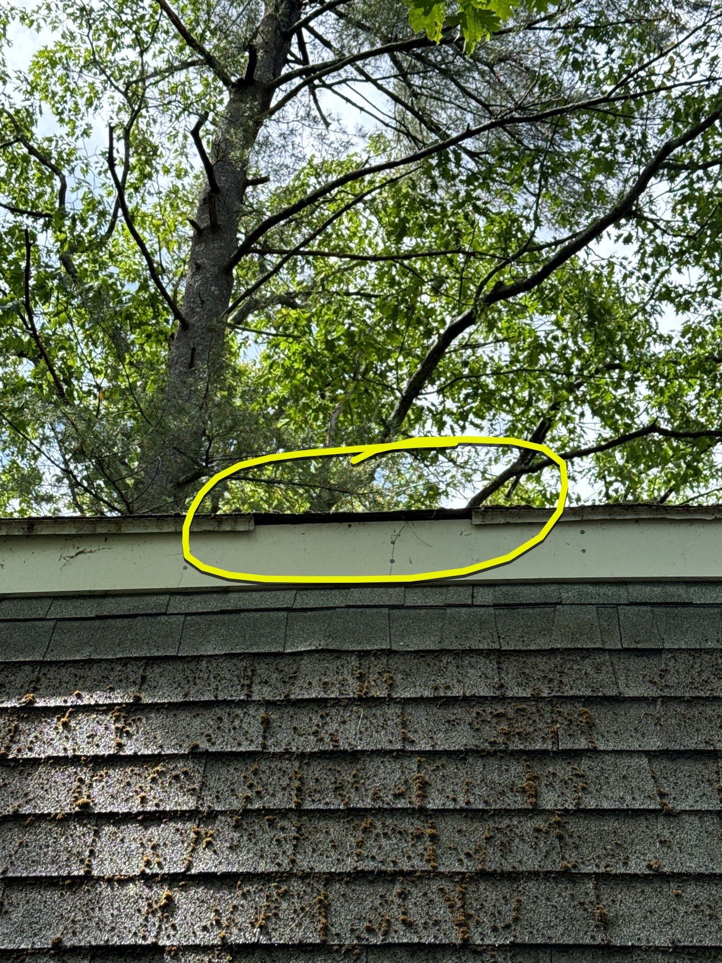 Leak Repair & Roof Wash – Groton, MA by Mighty Dog Roofing of Greater Middlesex County