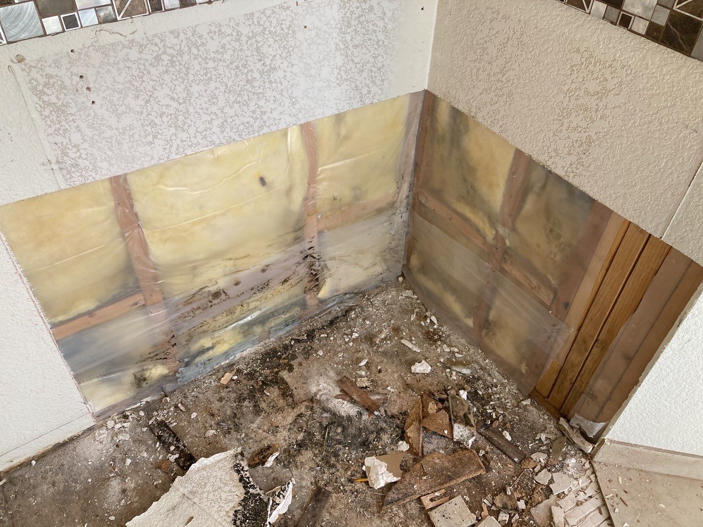 Mold Remediation in Kitchen by Accountable Home Services